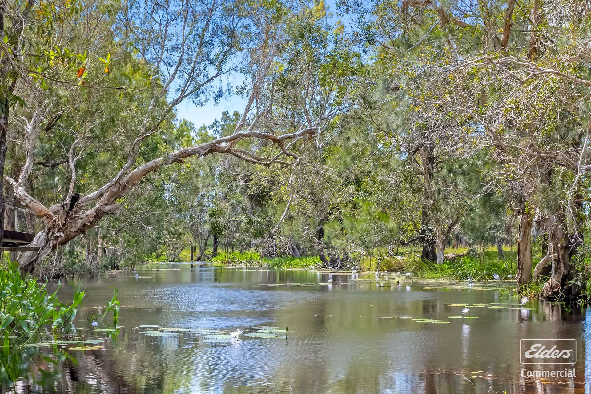 1574 Emu Park Rd, Tungamull For Sale by Farmbuy.com - image 5