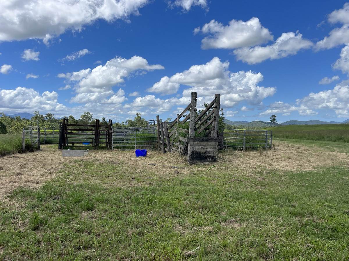 353 Pinnacle-Septimus Road, Pinnacle For Sale by Farmbuy.com - image 12