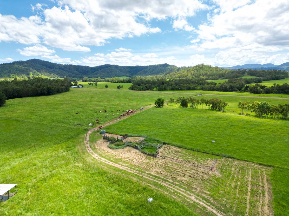 353 Pinnacle-Septimus Road, Pinnacle For Sale by Farmbuy.com - image 2