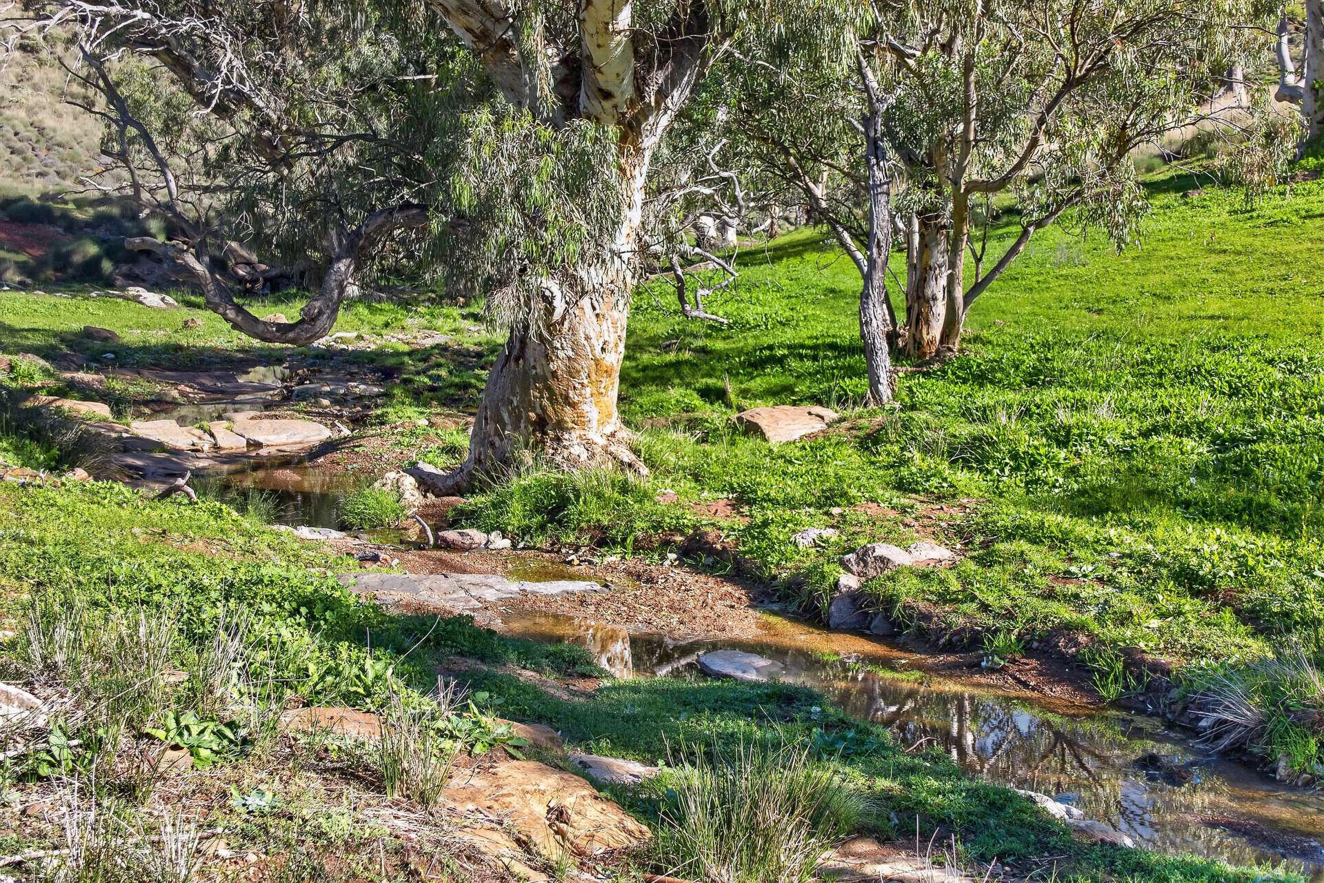 'Railway' Depot Flat Road, Yarrah Auction by Farmbuy.com - image 5