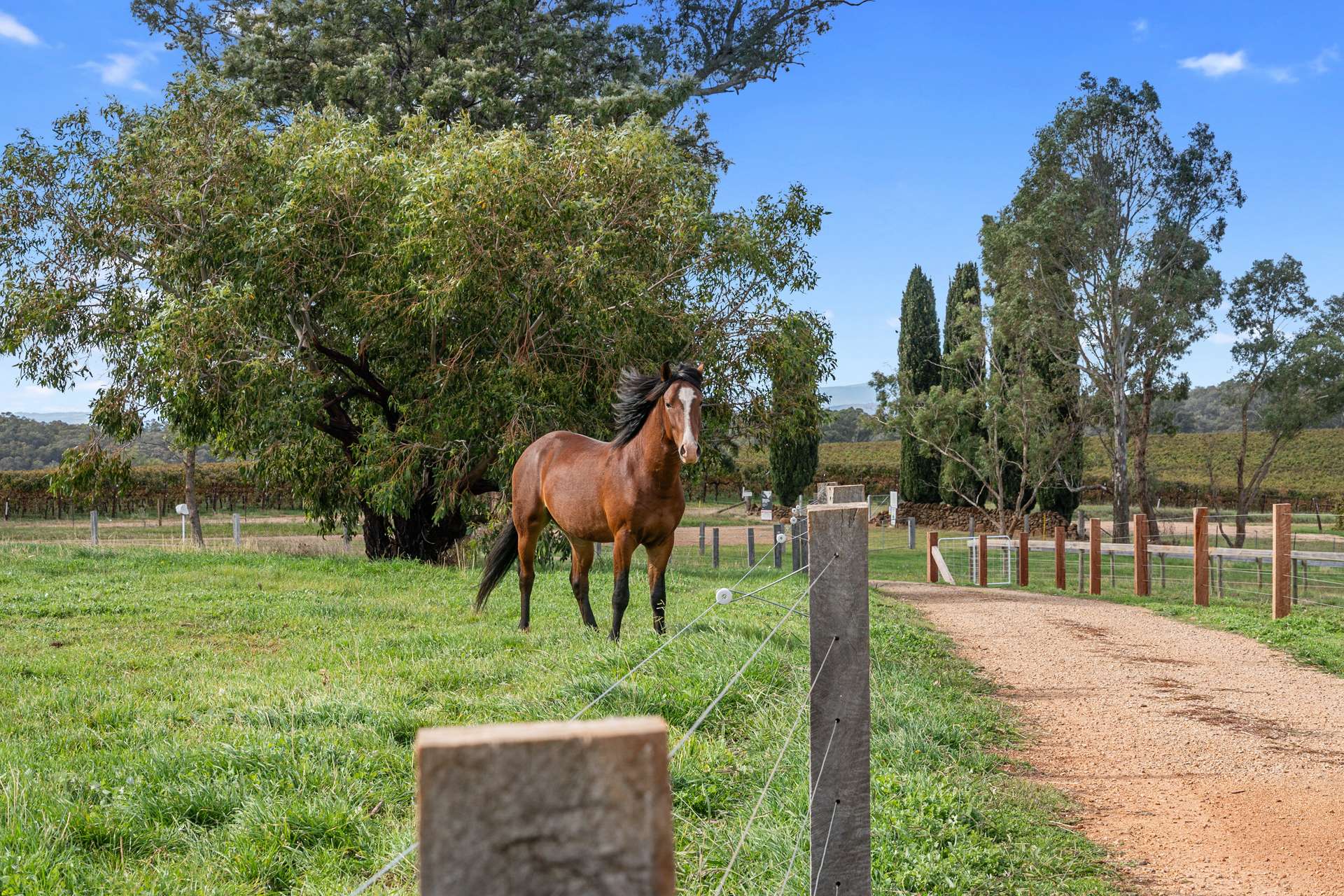1544 Banksdale Road, Hansonville For Sale by Farmbuy.com - image 6