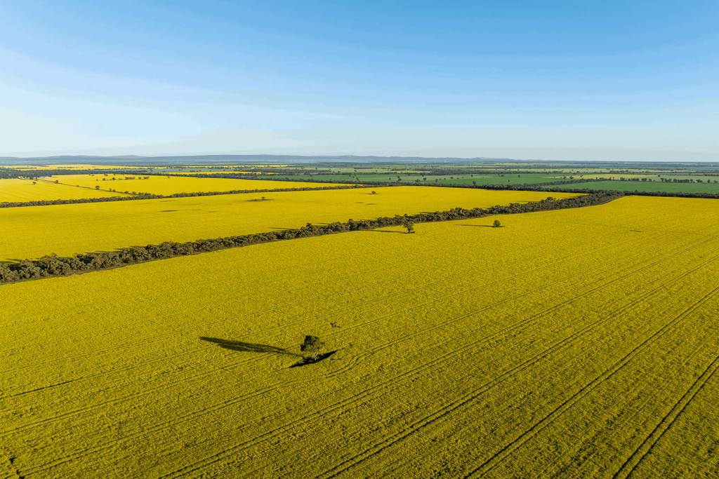 1133 Koornong Road, West River WA 6346