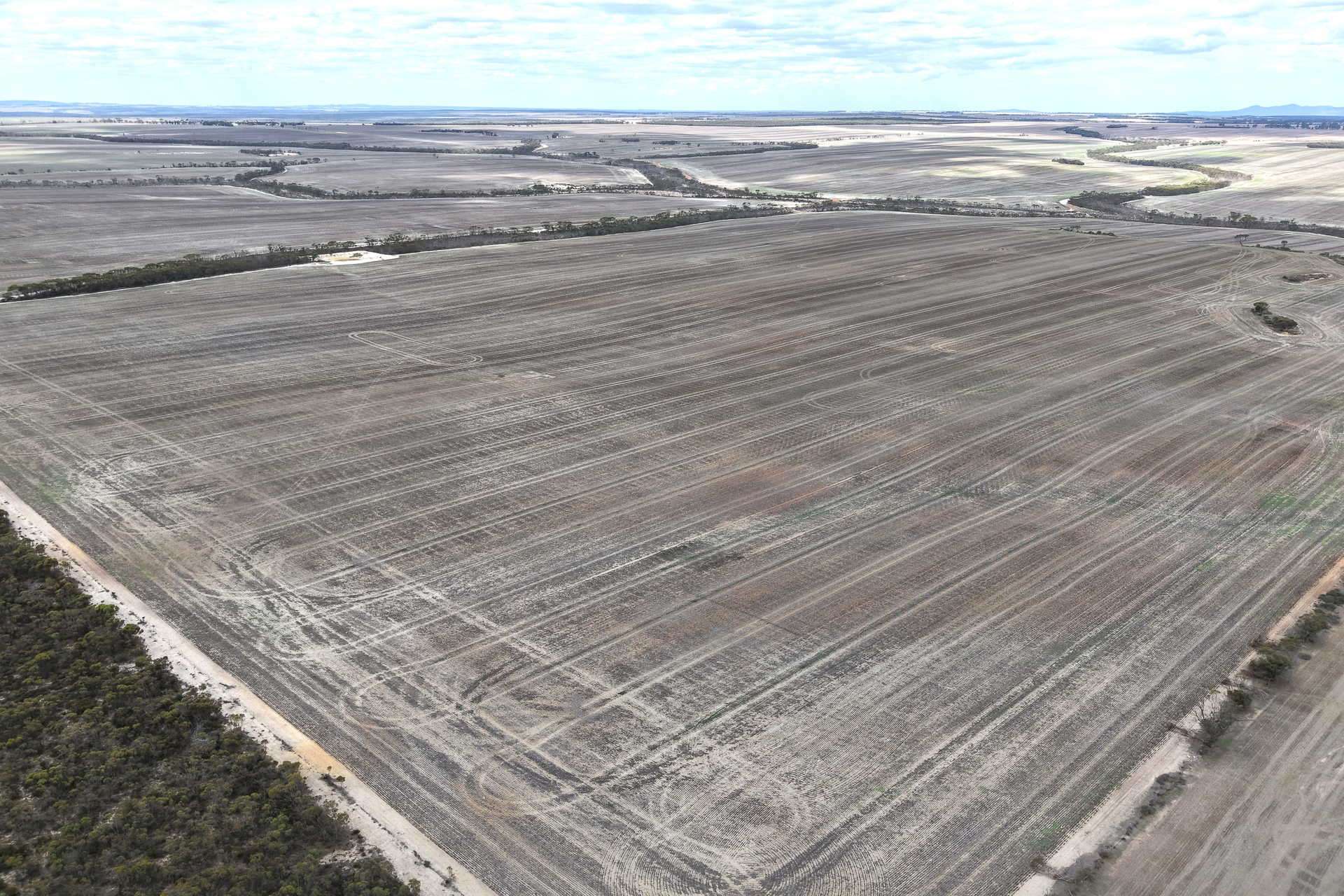 1133 Koornong Road, West River For Sale by Farmbuy.com - image 9