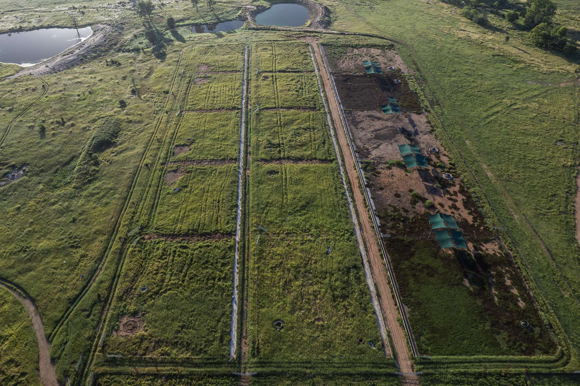 1727 Boombah Road, Mackenzie For Sale by Farmbuy.com - image 5