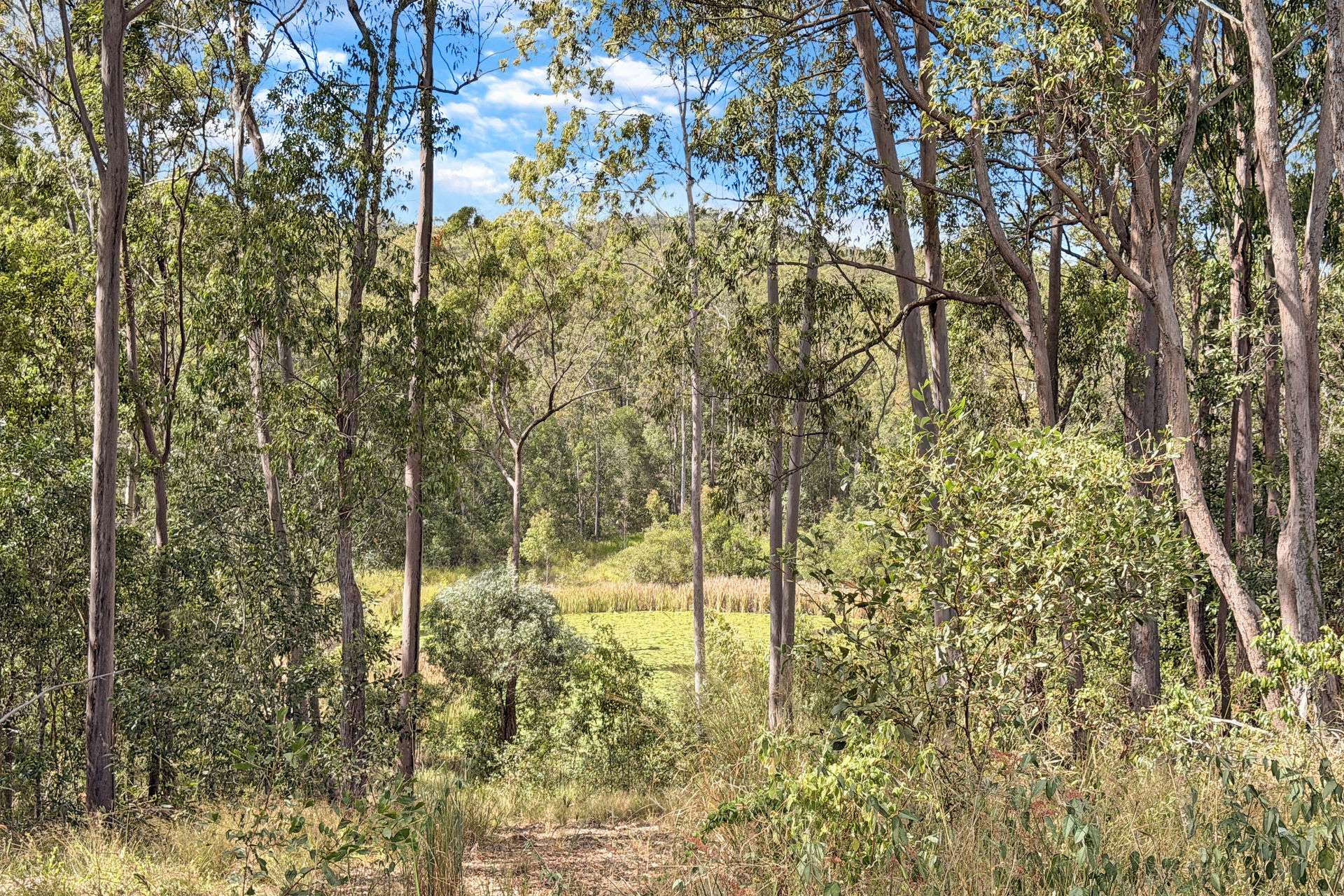 69 Greenhalgh Road, Bells Bridge For Sale by Farmbuy.com - image 3