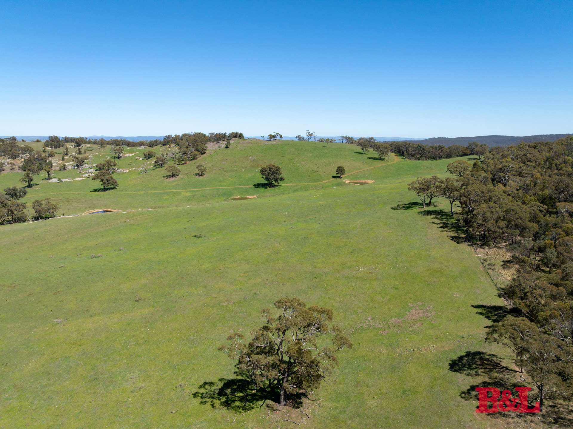 1977 Tarana Road, Gemalla For Sale by Farmbuy.com - image 27
