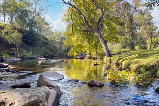 Farm For Sale - VIC - Merrijig - 3723 - 'DELA-VIEW' THE ULTIMATE RIVERFRONT RETREAT 