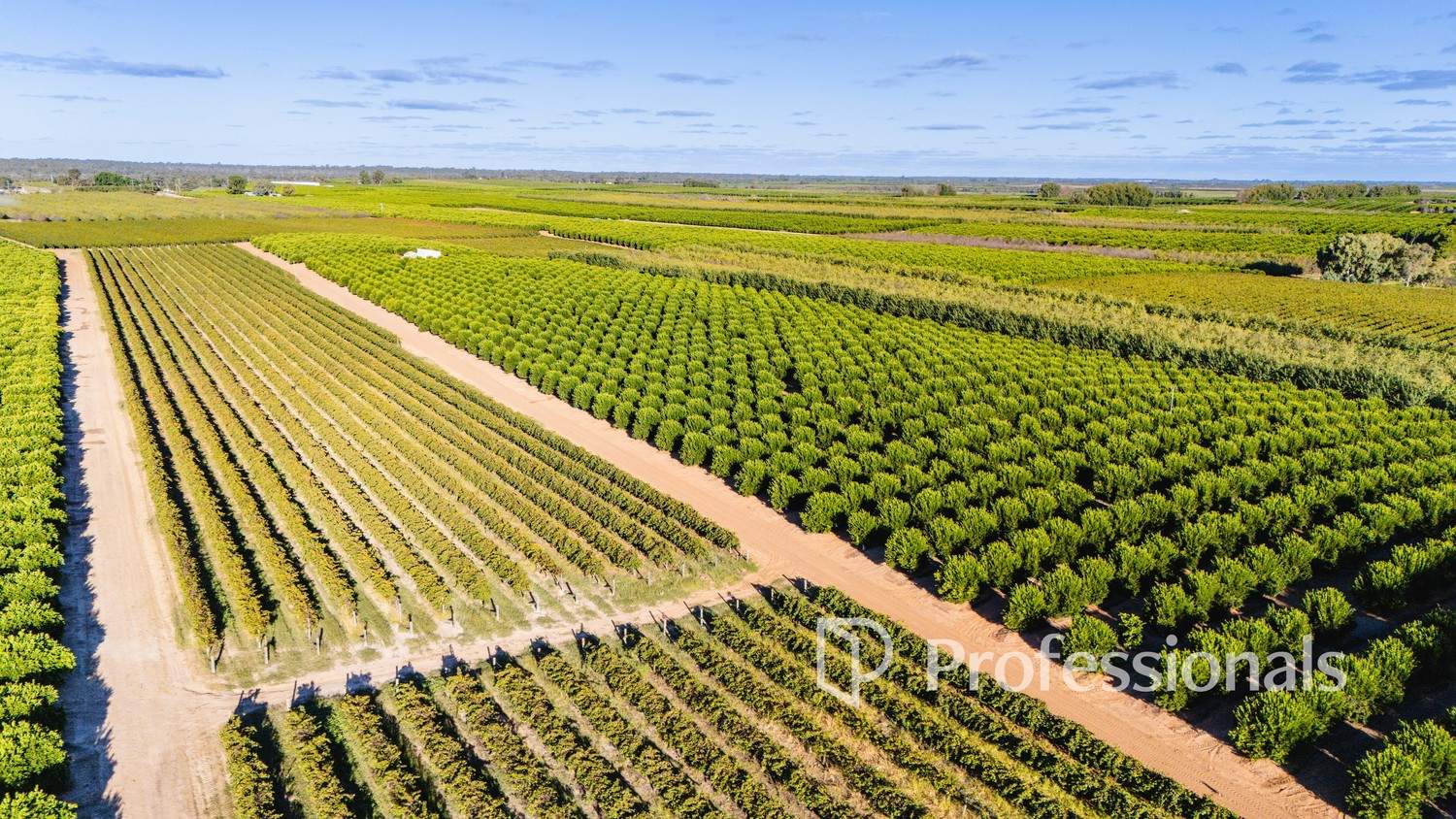 2050 Kulkyne Way, Iraak For Sale by Farmbuy.com - image 5