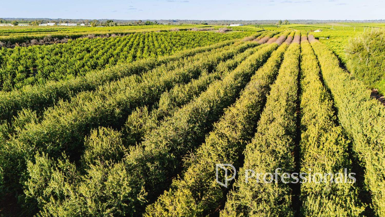 2050 Kulkyne Way, Iraak For Sale by Farmbuy.com - image 10