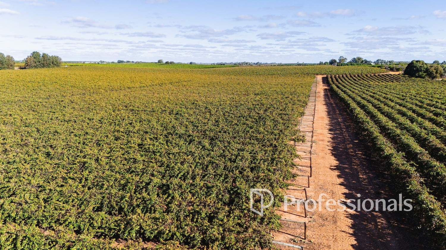 2836 Kulkyne Way, Colignan For Sale by Farmbuy.com - image 9