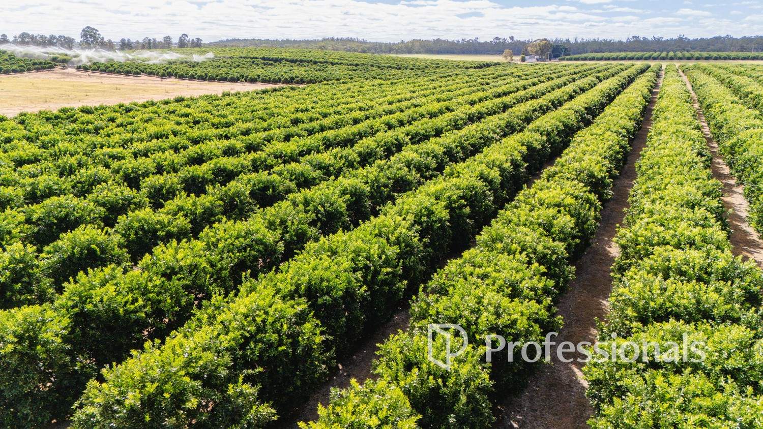 3274 & 3744 Kulkyne Way, Colignan For Sale by Farmbuy.com - image 5