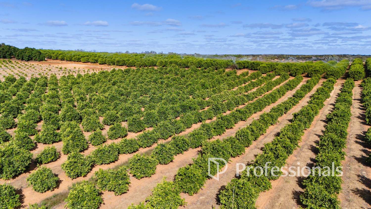 3274 & 3744 Kulkyne Way, Colignan For Sale by Farmbuy.com - image 4