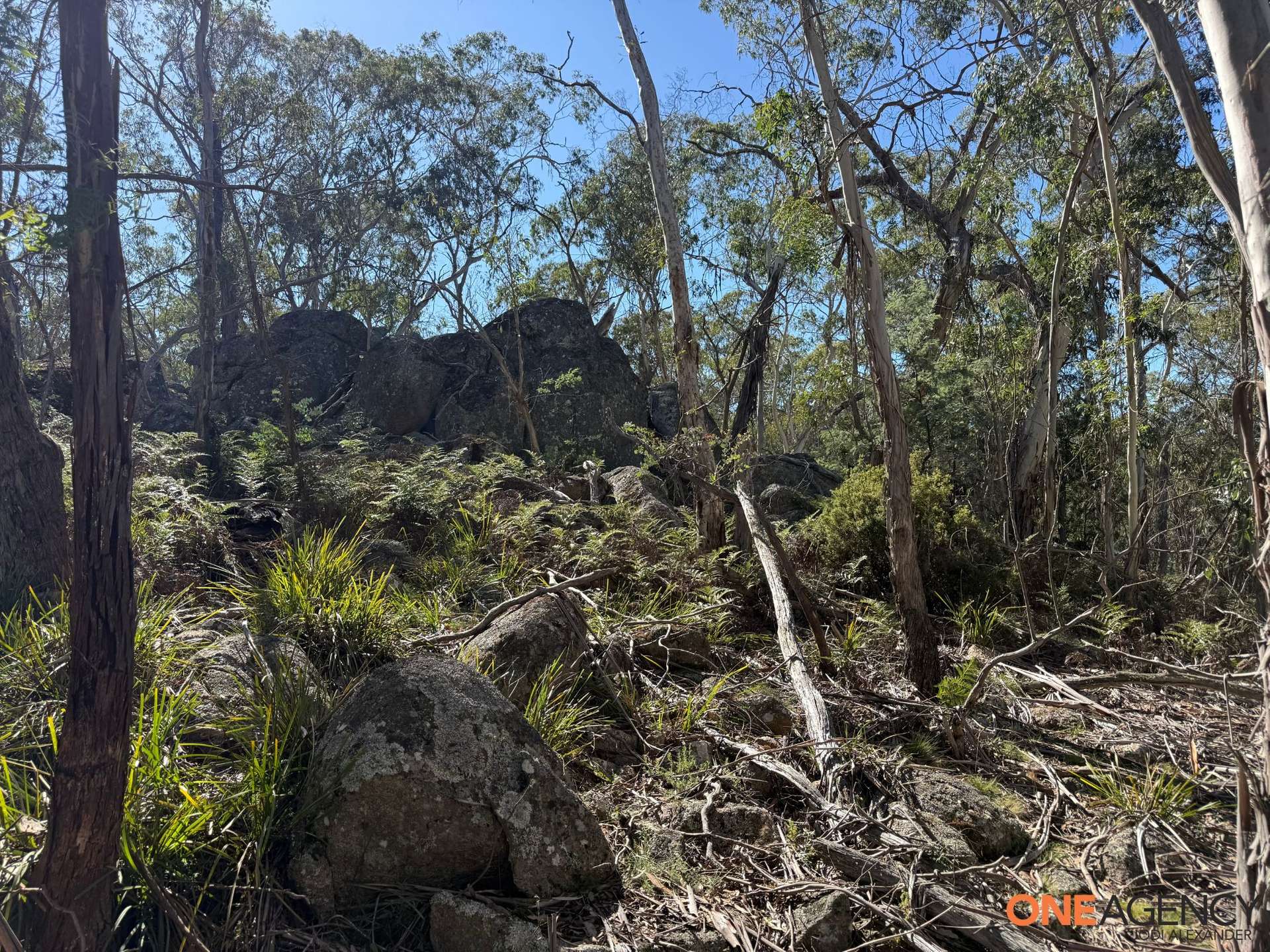 401 Glen Allen Road, Glen Allen For Sale by Farmbuy.com - image 16