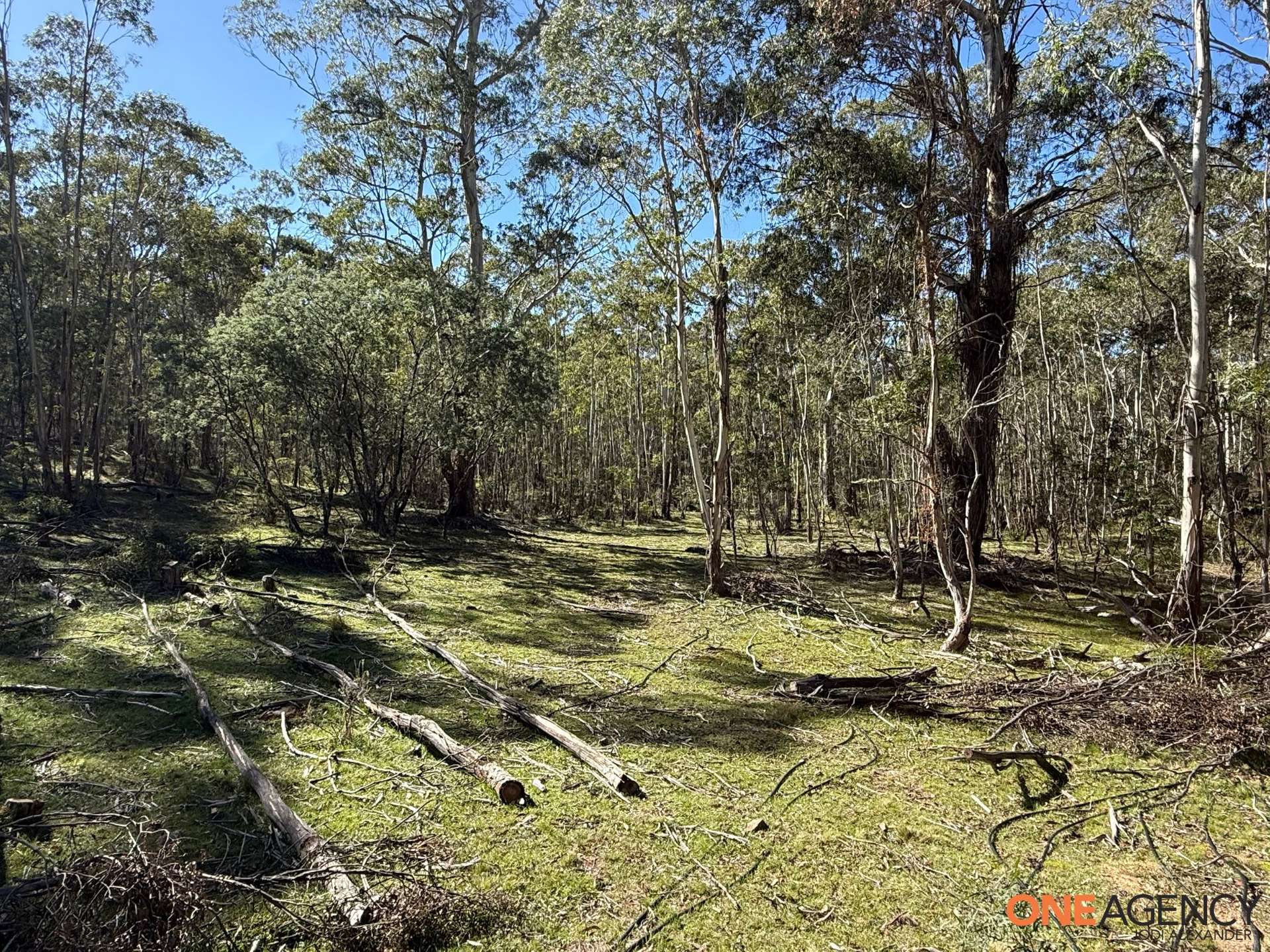 401 Glen Allen Road, Glen Allen For Sale by Farmbuy.com - image 19