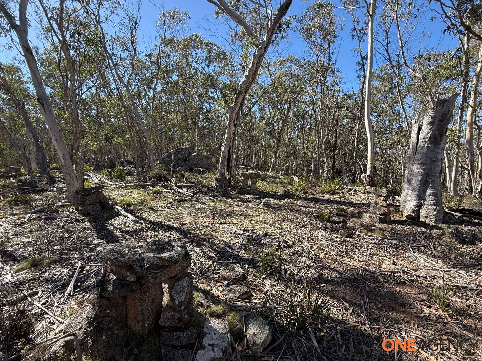 401 Glen Allen Road, Glen Allen For Sale by Farmbuy.com - image 18