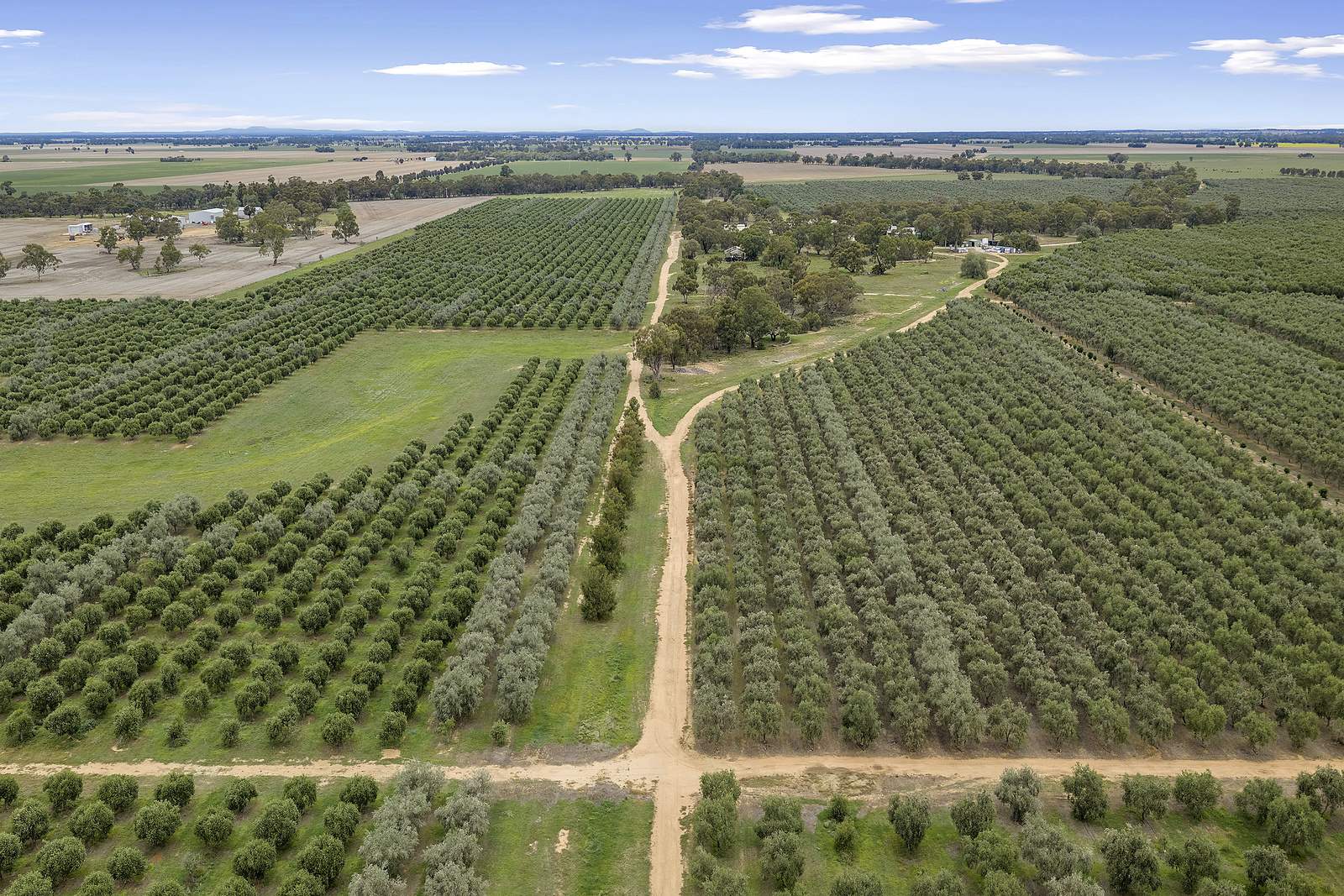. Echuca Serpentine Road, Serpentine Auction by Farmbuy.com - image 8