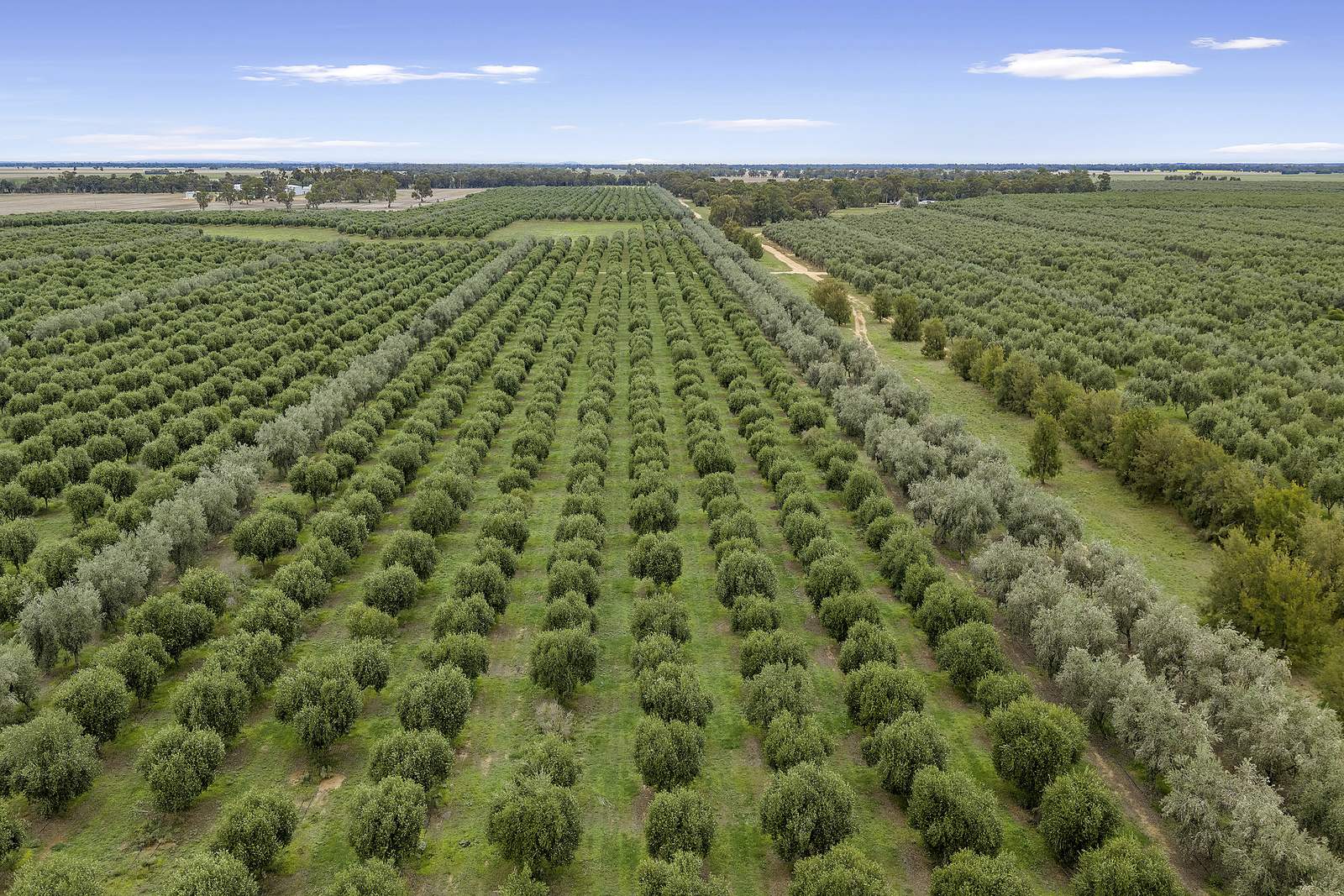 . Echuca Serpentine Road, Serpentine Auction by Farmbuy.com - image 7