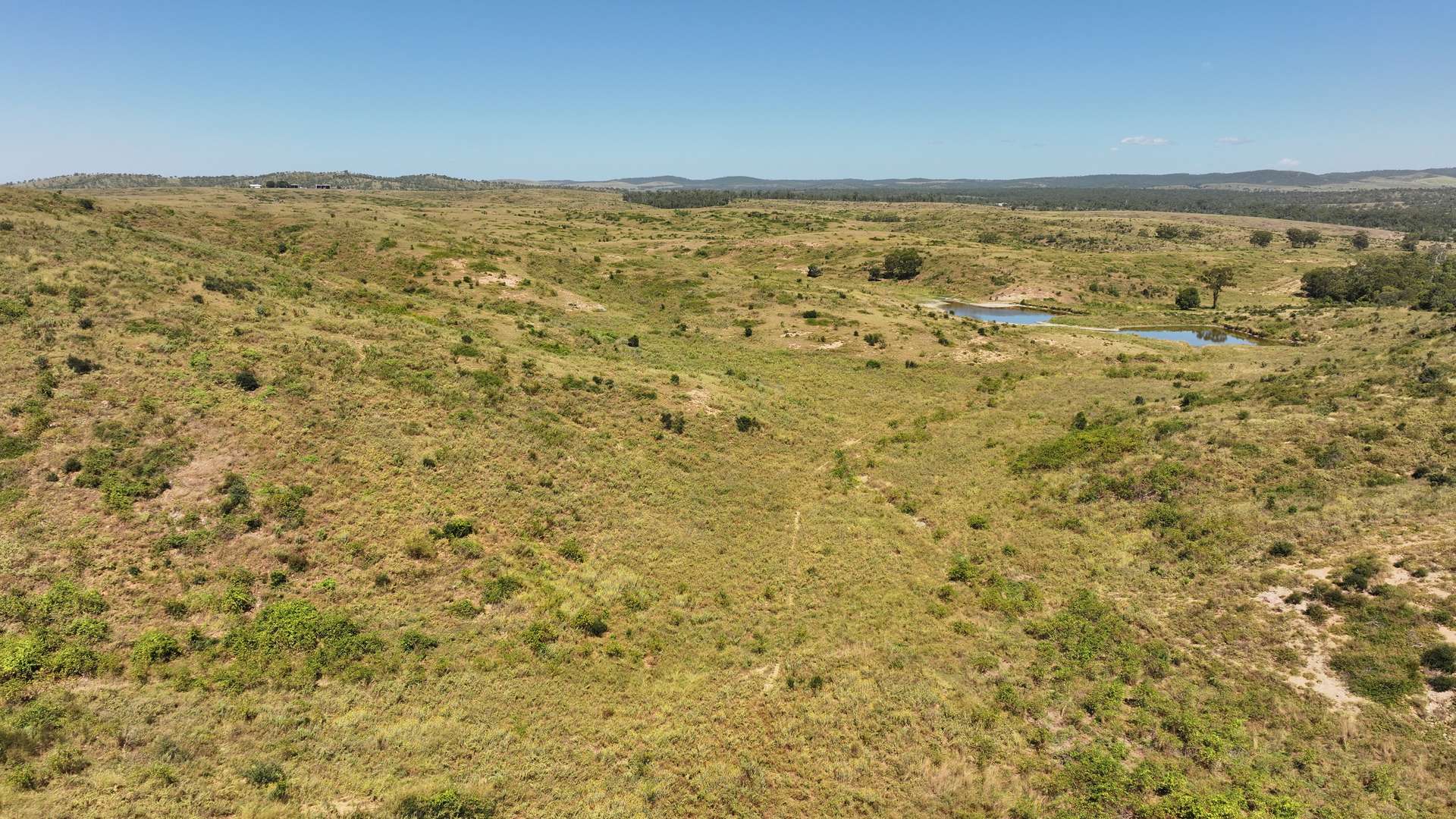 'Boomer' Rookwood Road, Gogango Tender by Farmbuy.com - image 10