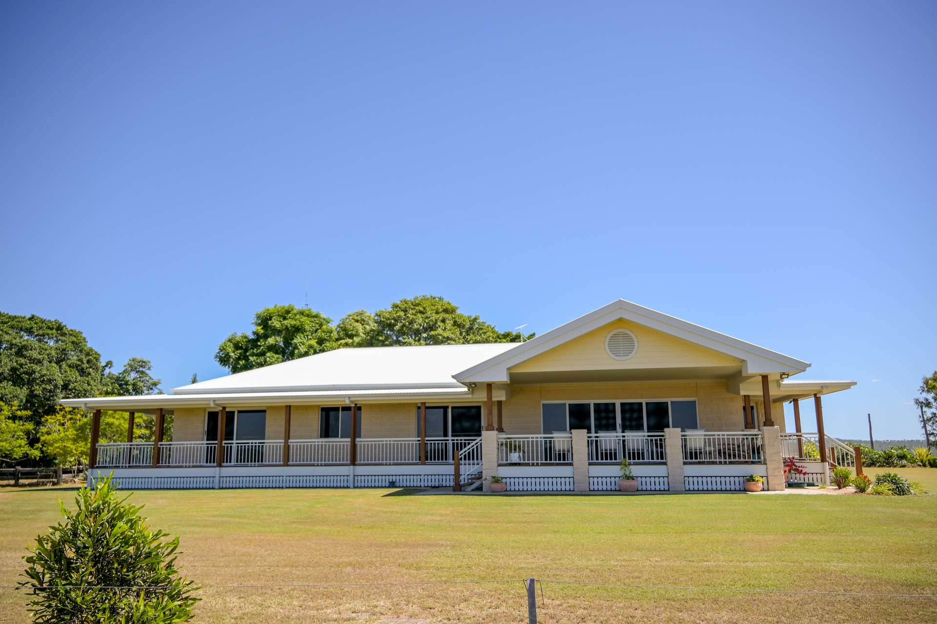 'Boomer' Rookwood Road, Gogango Tender by Farmbuy.com - image 8