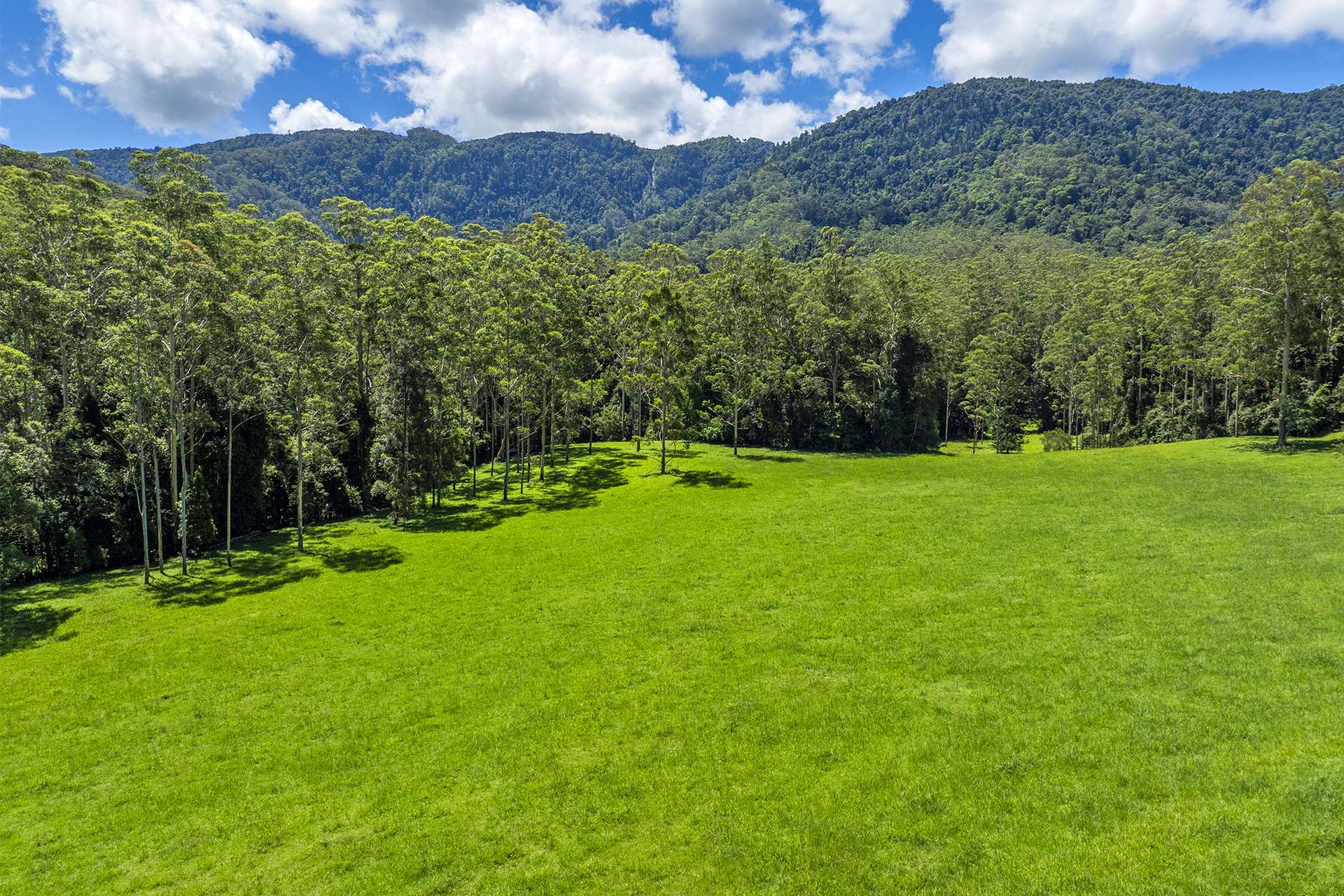 650 Darkwood Road, Thora For Sale by Farmbuy.com - image 6