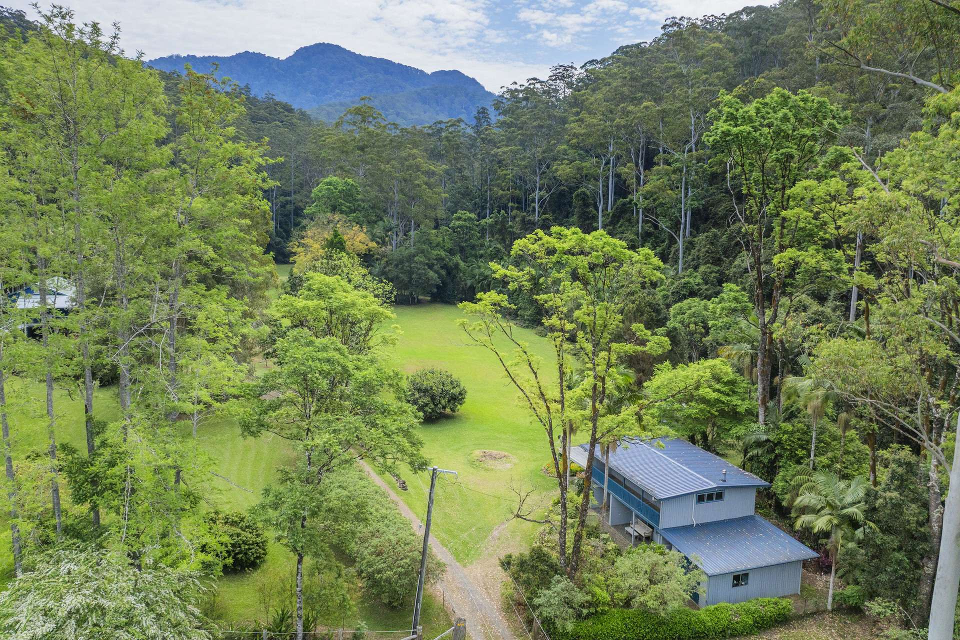 109 Little North Arm Road, Bellingen For Sale by Farmbuy.com - image 20