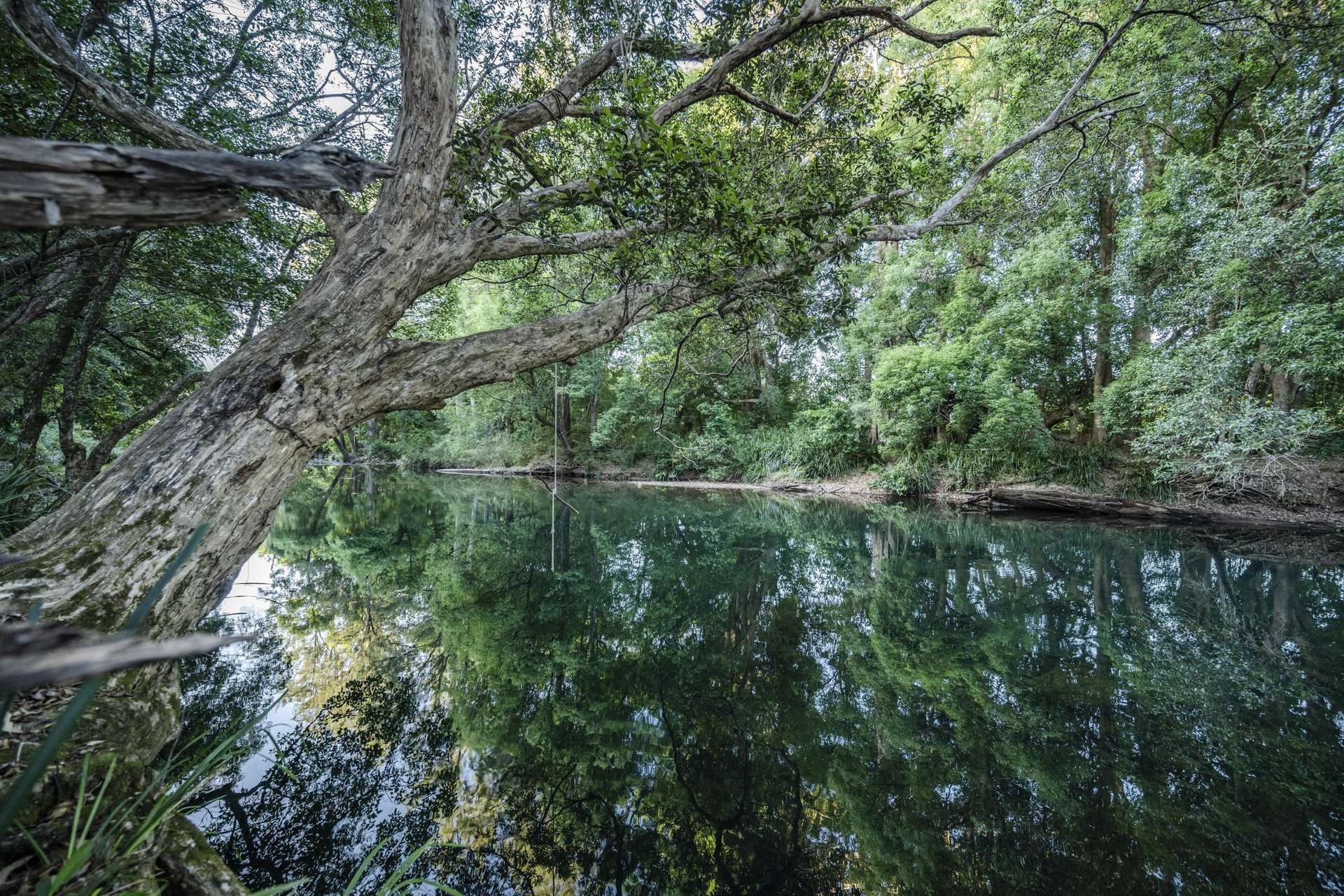 71 Gordonville Road, Gleniffer For Sale by Farmbuy.com - image 31