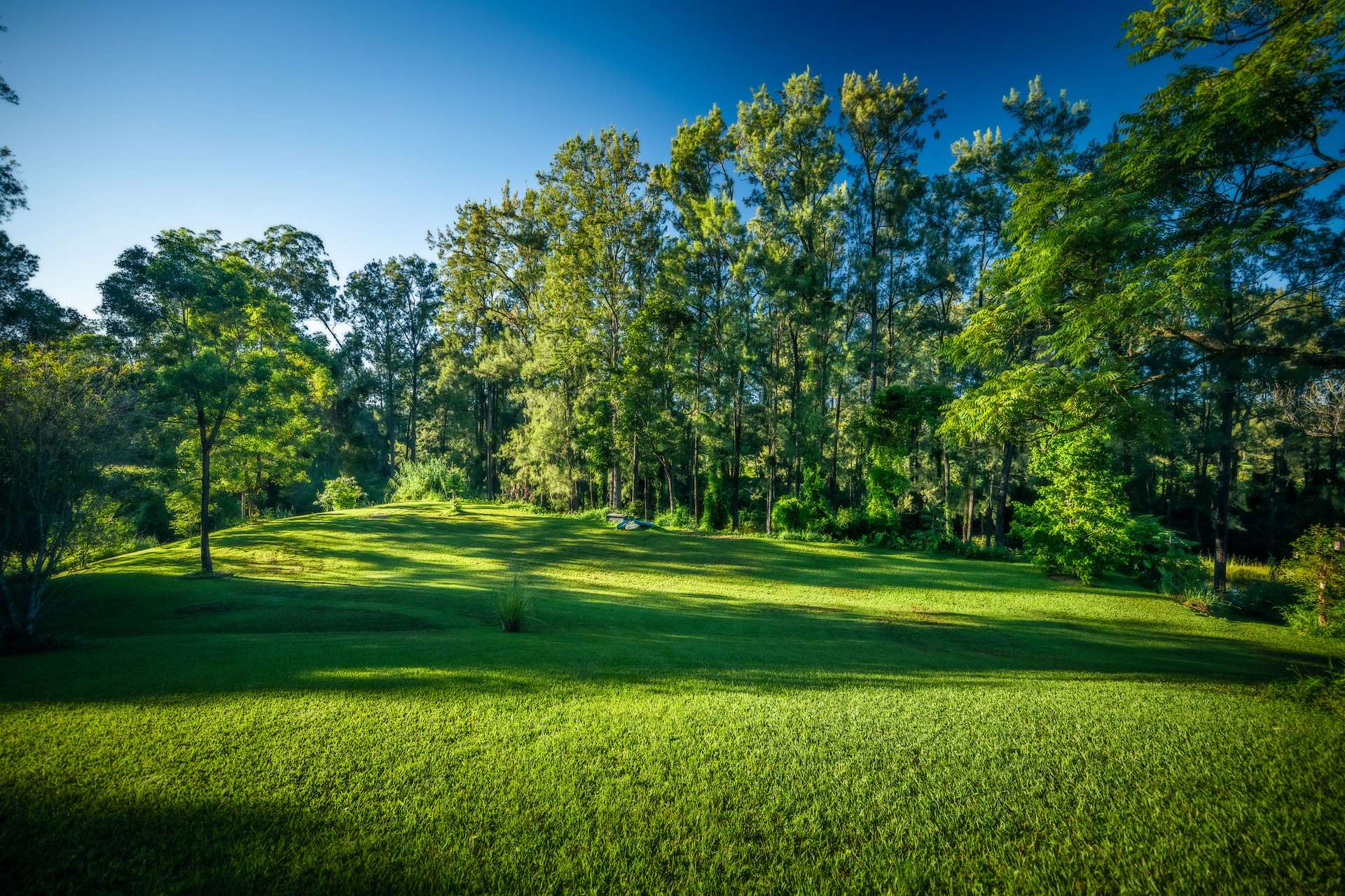 484 Summervilles Road, Bellingen For Sale by Farmbuy.com - image 33