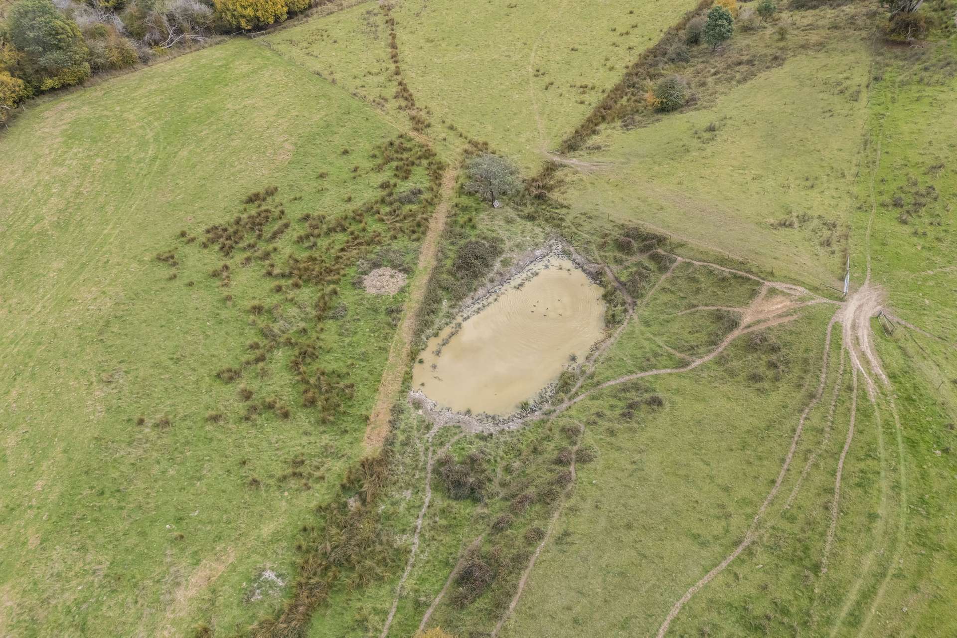 83 Turkey Farm Road, Glengarry For Sale by Farmbuy.com - image 22