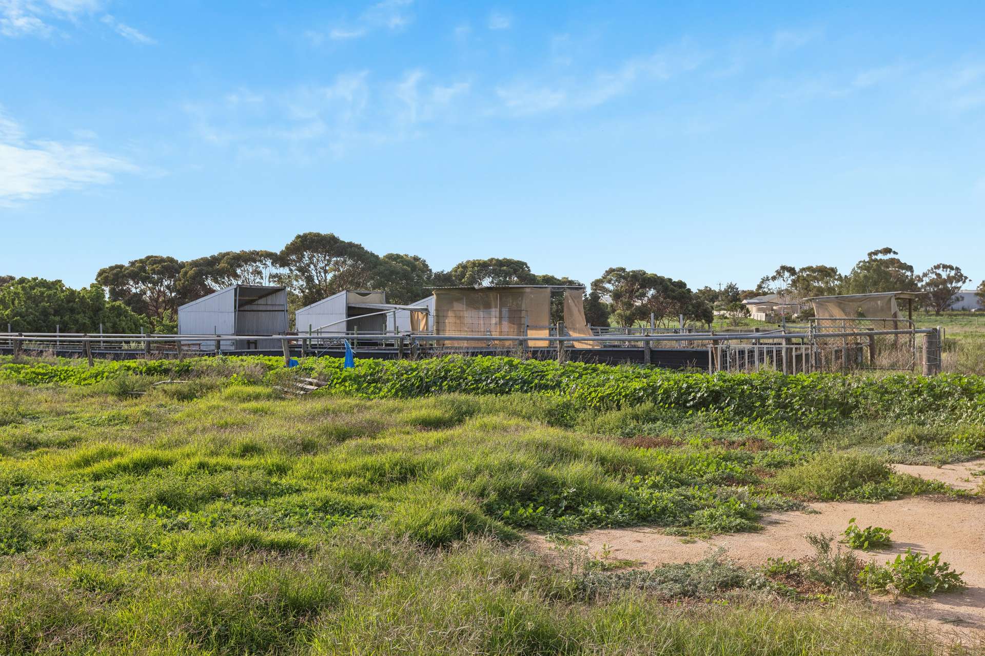 40 Old Swanport Road, Murray Bridge For Sale by Farmbuy.com - image 21