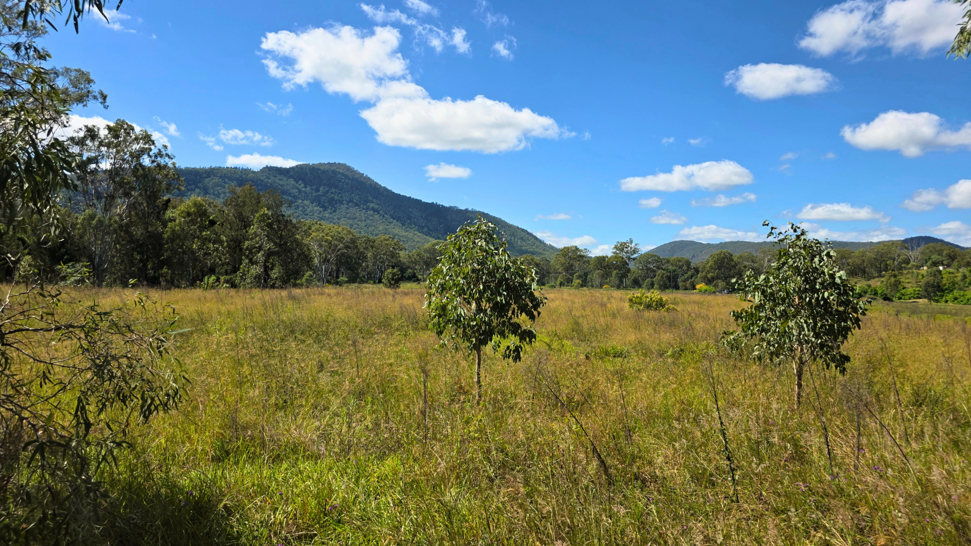 Gayndah - Mount Perry Road, Mount Perry For Sale by Farmbuy.com - image 1