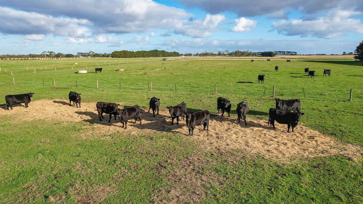 59 Gapes Road, Winslow For Sale by Farmbuy.com - image 15