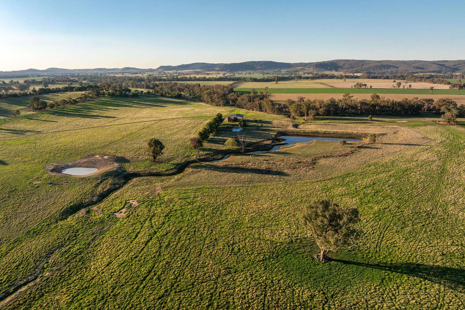 261 Paper Forest Road, Mangoplah Auction by Farmbuy.com - image 18