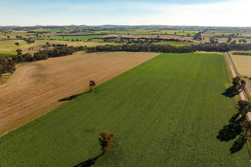 Farm Auction - NSW - Mangoplah - 2652 - Turn key add on or starter 