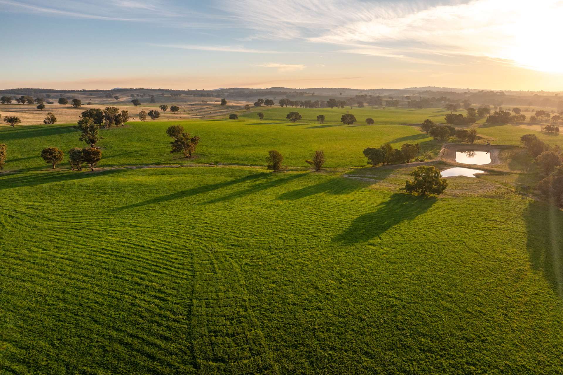 "KALOONA" Holbrook Road, Mangoplah Auction by Farmbuy.com - image 1