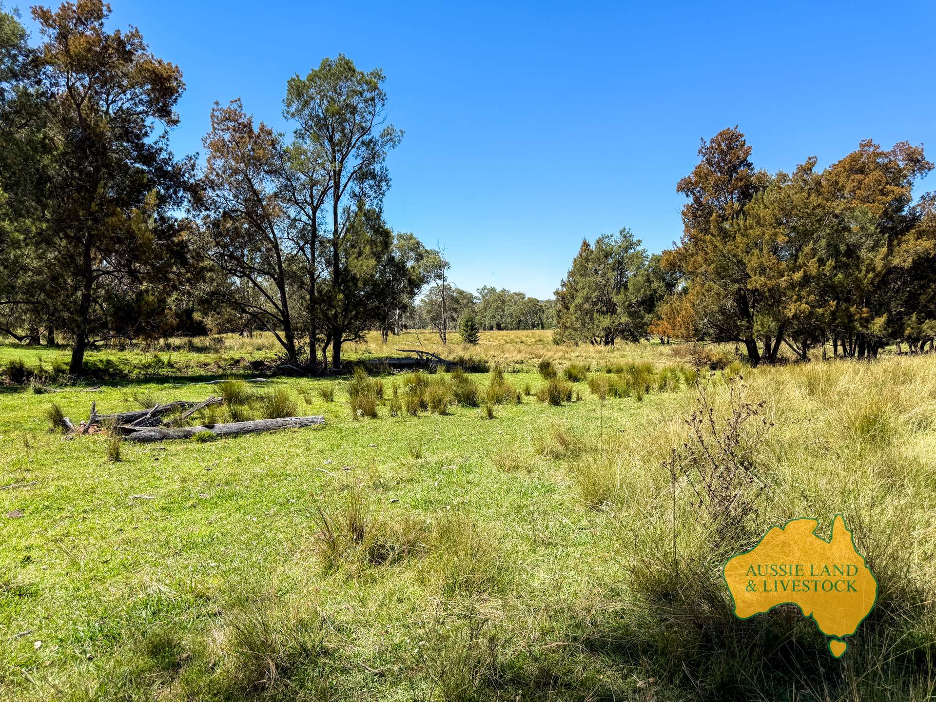 Lot 55, . TIM SHEA CREEK ROAD, Wengenville For Sale by Farmbuy.com - image 9