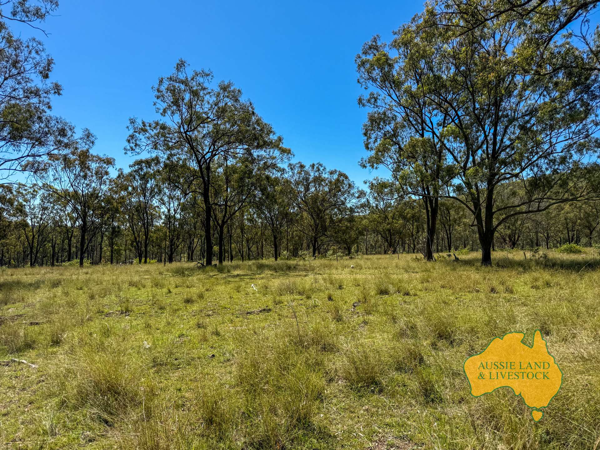Lot 55, . TIM SHEA CREEK ROAD, Wengenville For Sale by Farmbuy.com - image 13