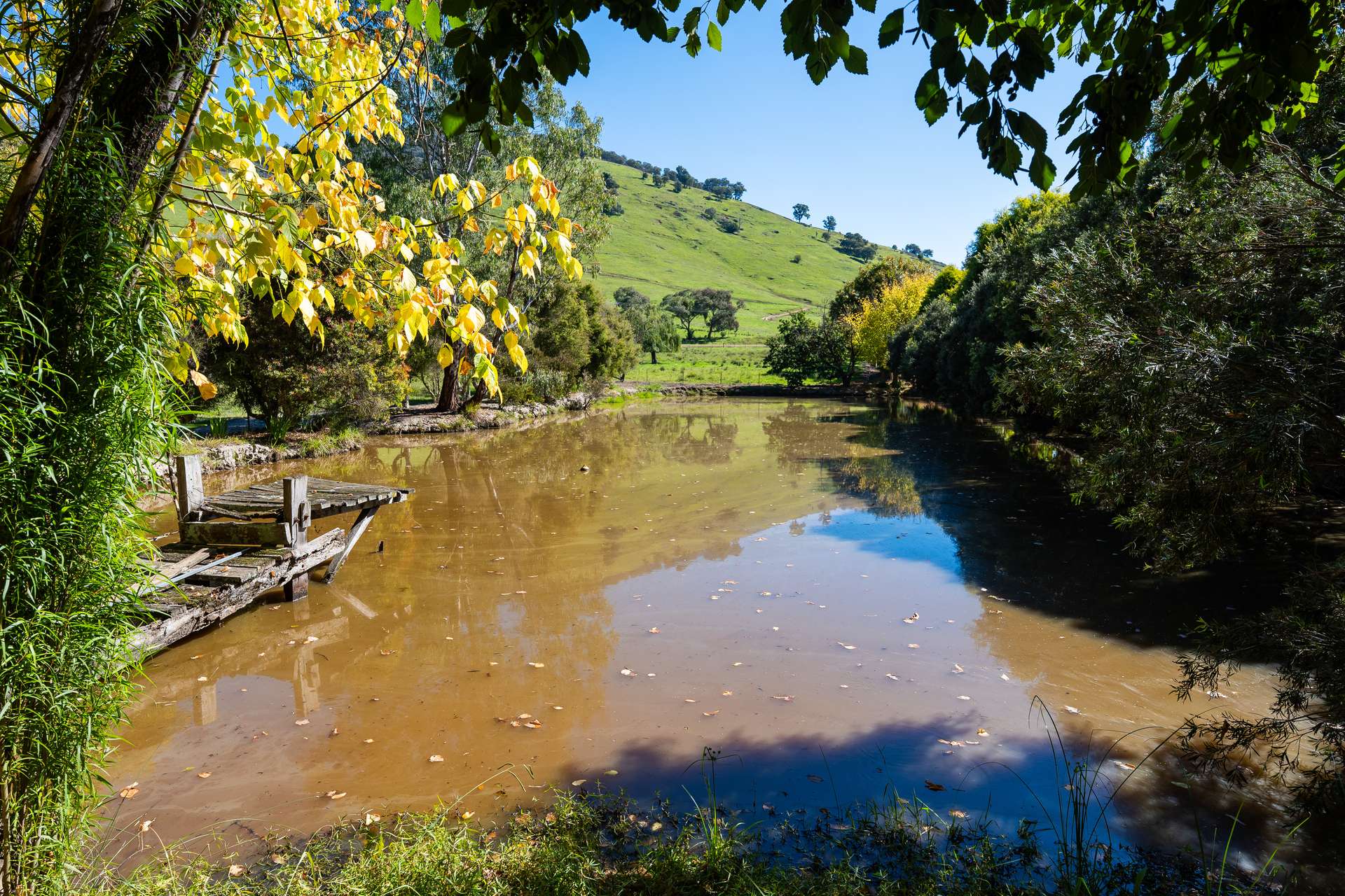 2123 Kiewa Valley Highway, Kergunyah Auction by Farmbuy.com - image 22