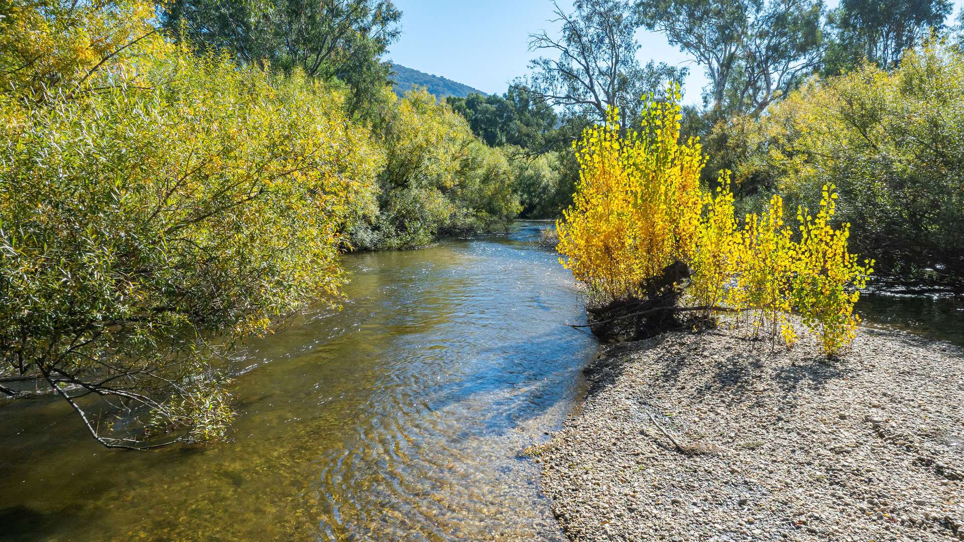 2123 Kiewa Valley Highway, Kergunyah Auction by Farmbuy.com - image 2