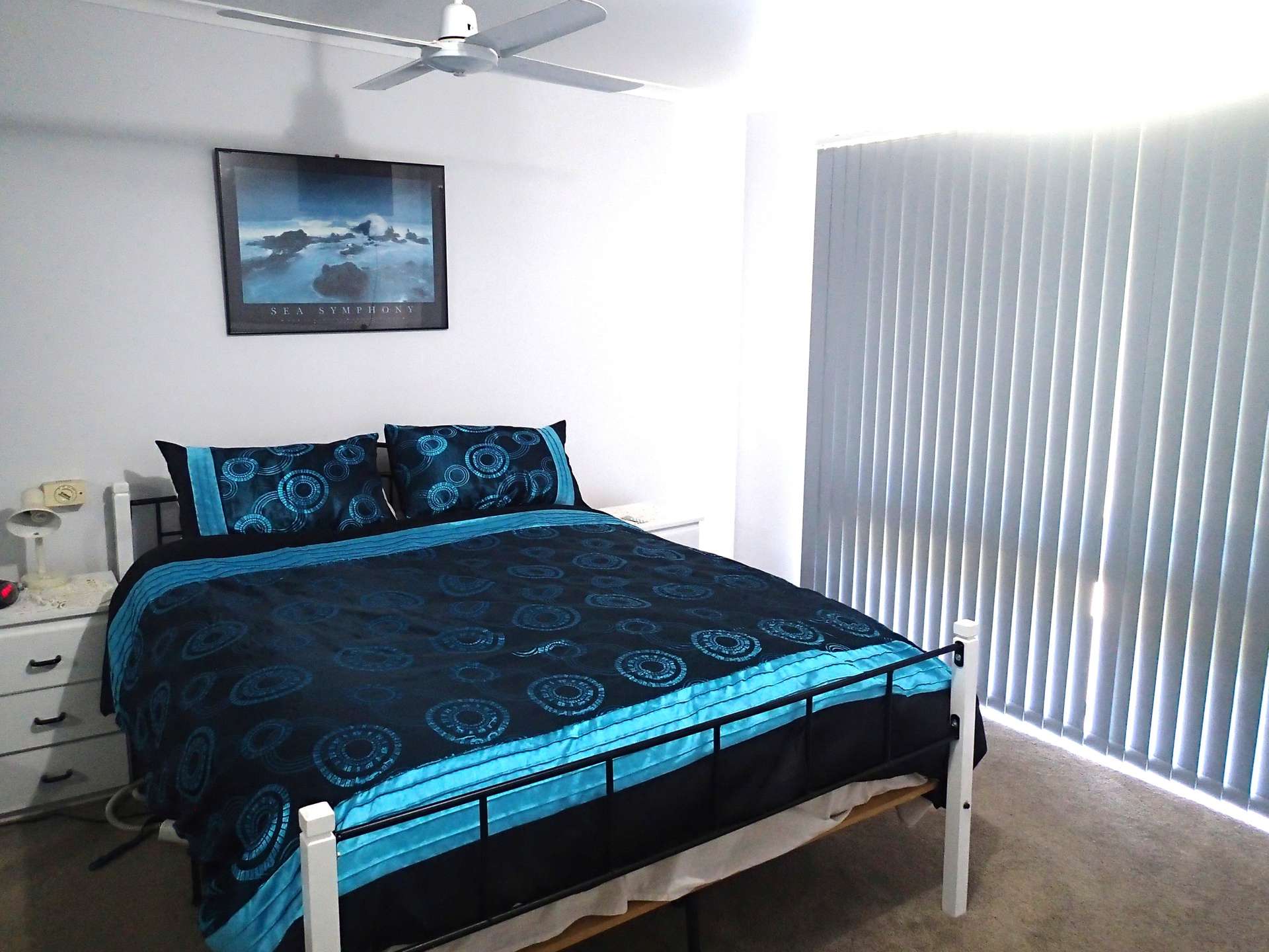 6 Patey Street, Oaklands For Sale by Farmbuy.com - image 10