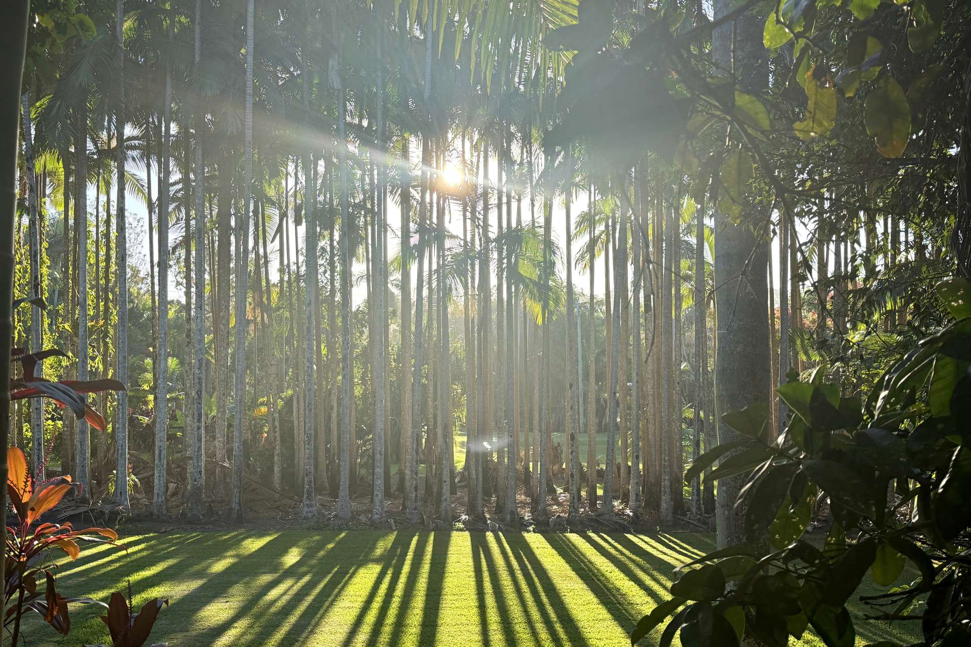 171 Billinudgel Road, Billinudgel For Sale by Farmbuy.com - image 35