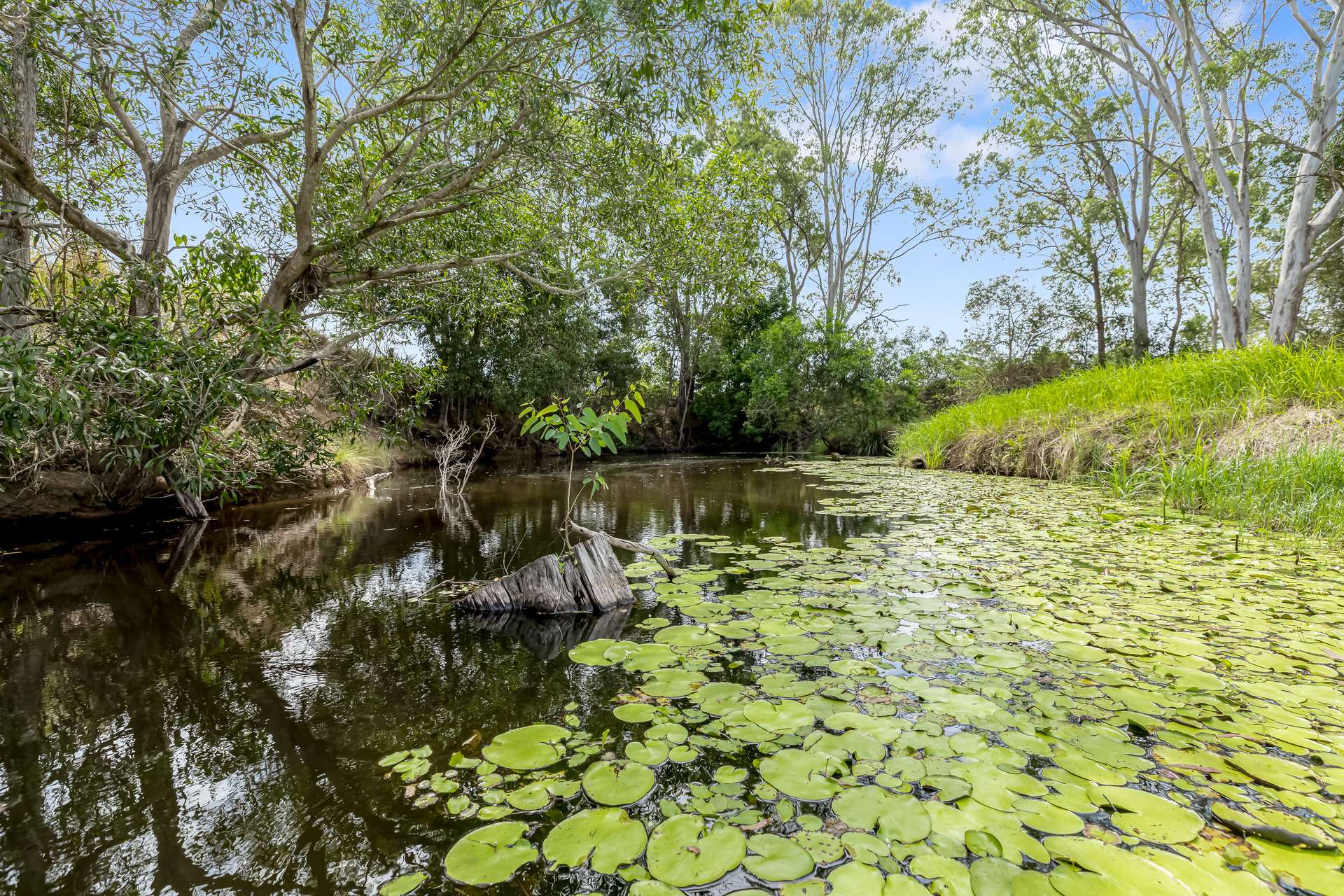 189 Shadbolt Road, Mothar Mountain For Sale by Farmbuy.com - image 31