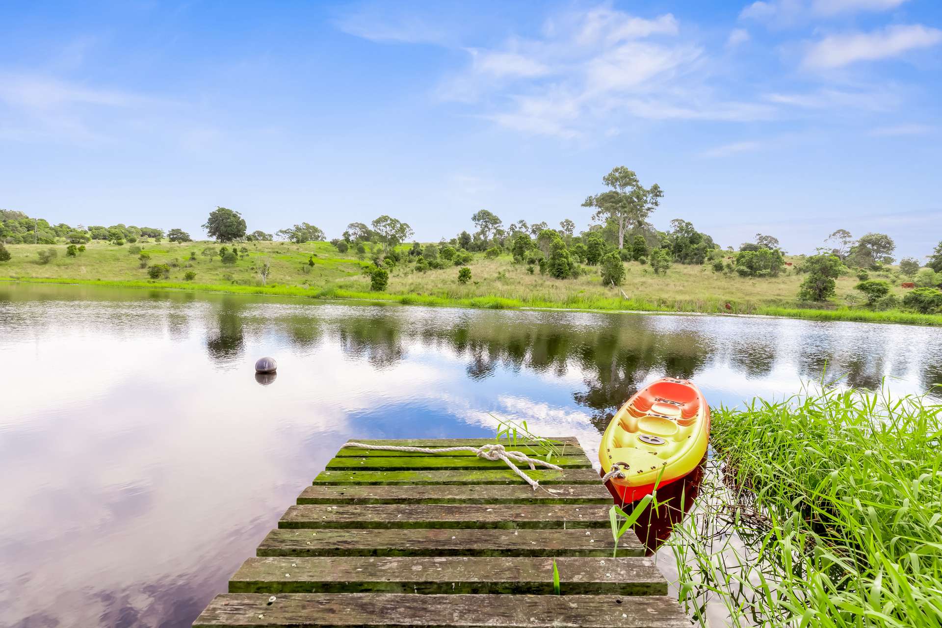 168 Repeater Station Road, Kanigan For Sale by Farmbuy.com - image 1