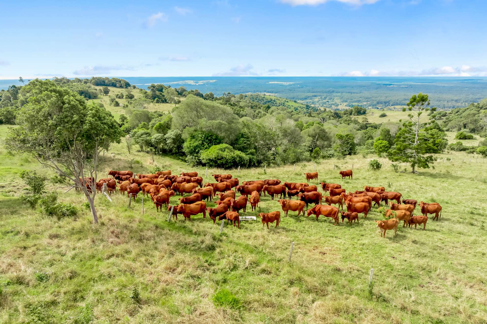 168 Repeater Station Road, Kanigan For Sale by Farmbuy.com - image 34