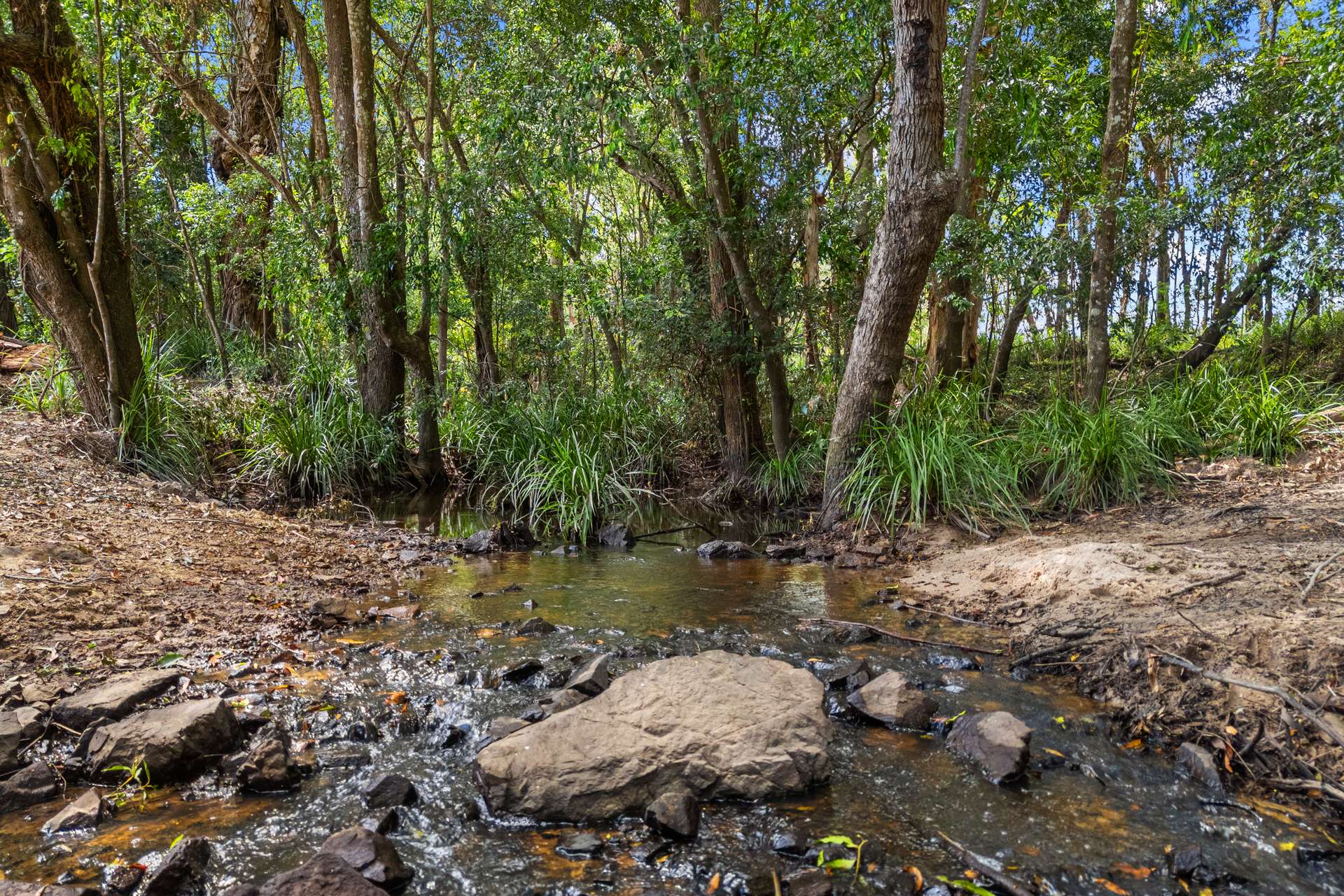 645 Counter Road, Goomboorian For Sale by Farmbuy.com - image 23