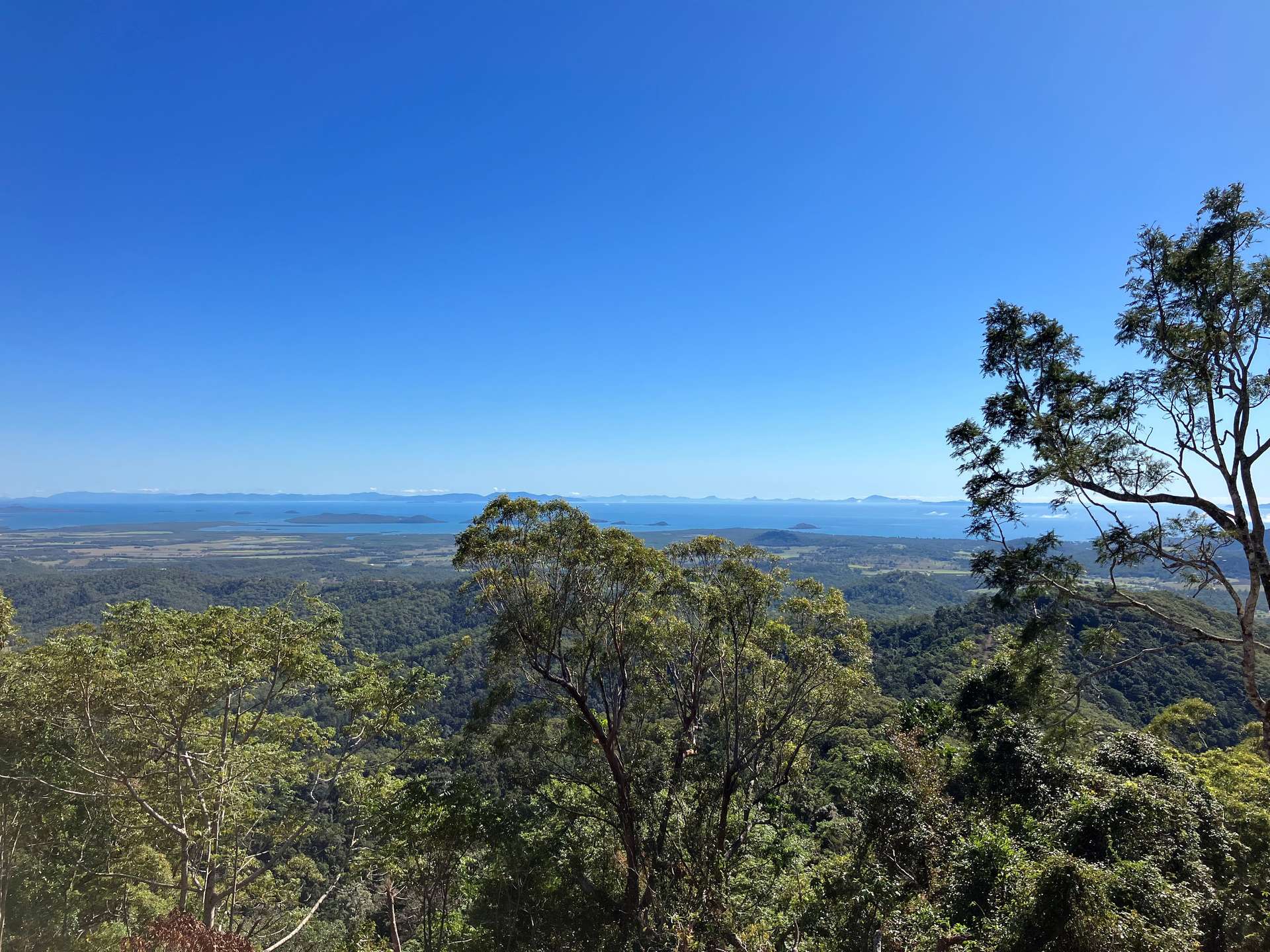 Mount Jukes Auction by Farmbuy.com - image 11