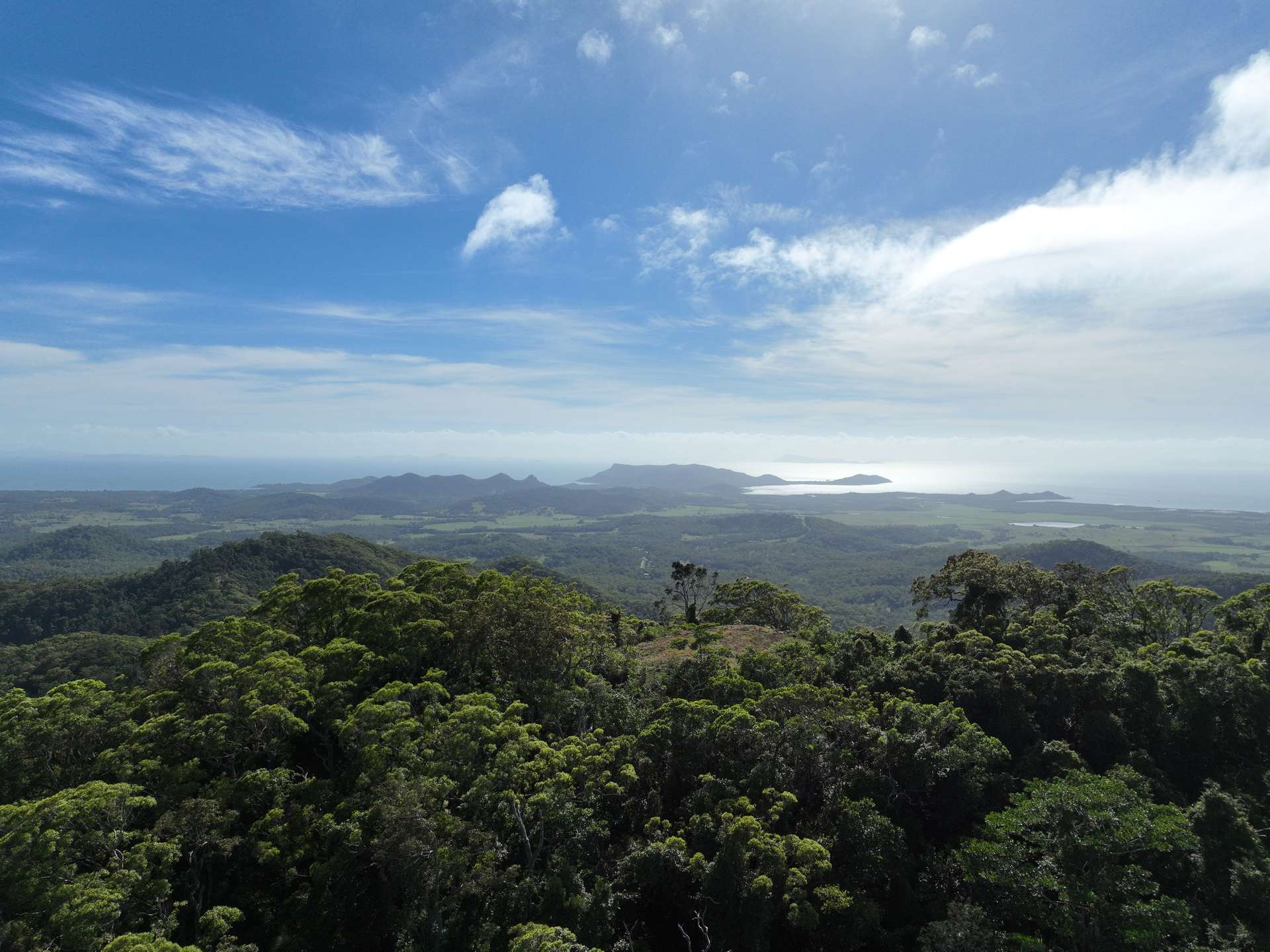 Mount Jukes Auction by Farmbuy.com - image 15