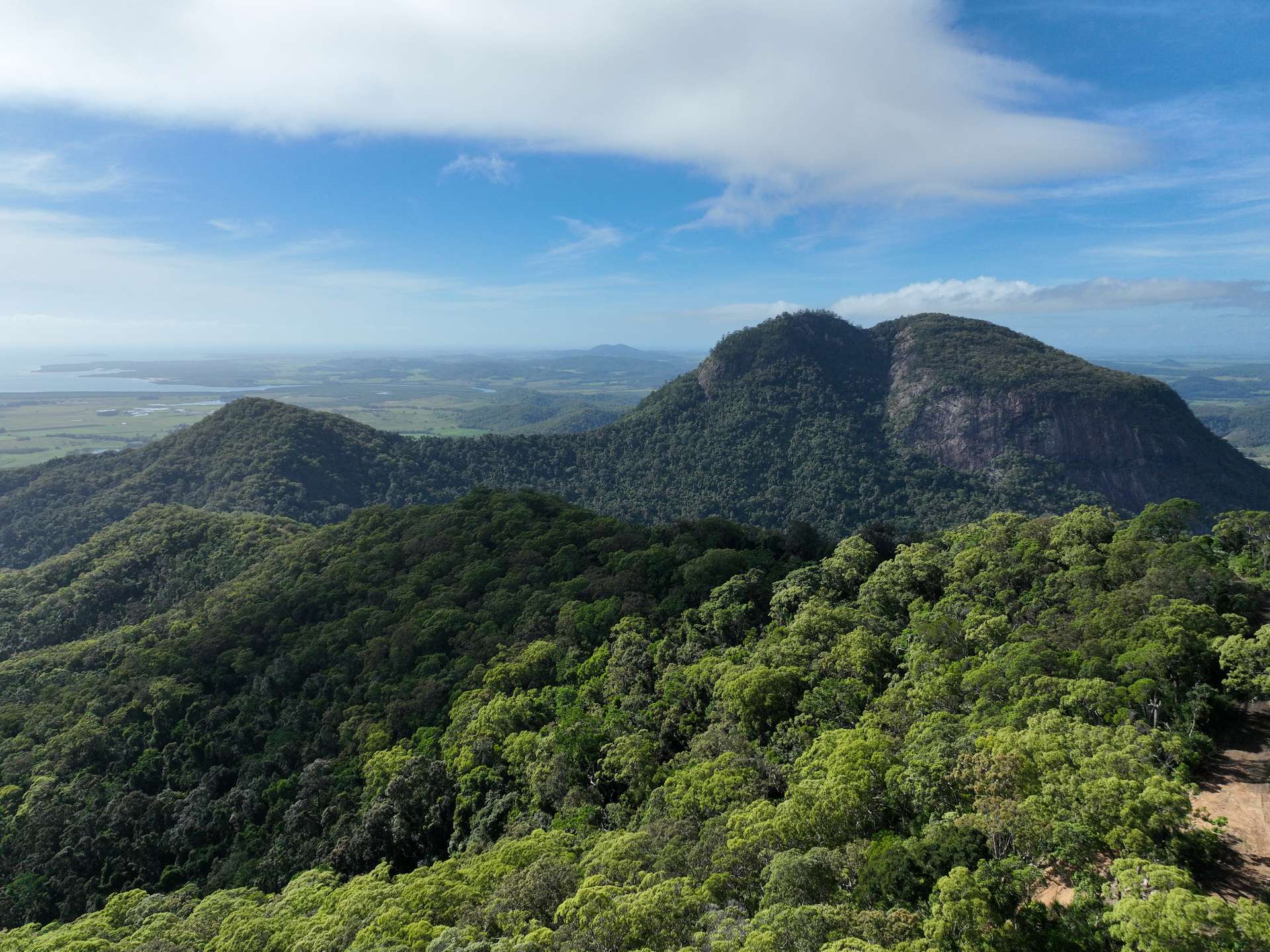 Mount Jukes Auction by Farmbuy.com - image 12