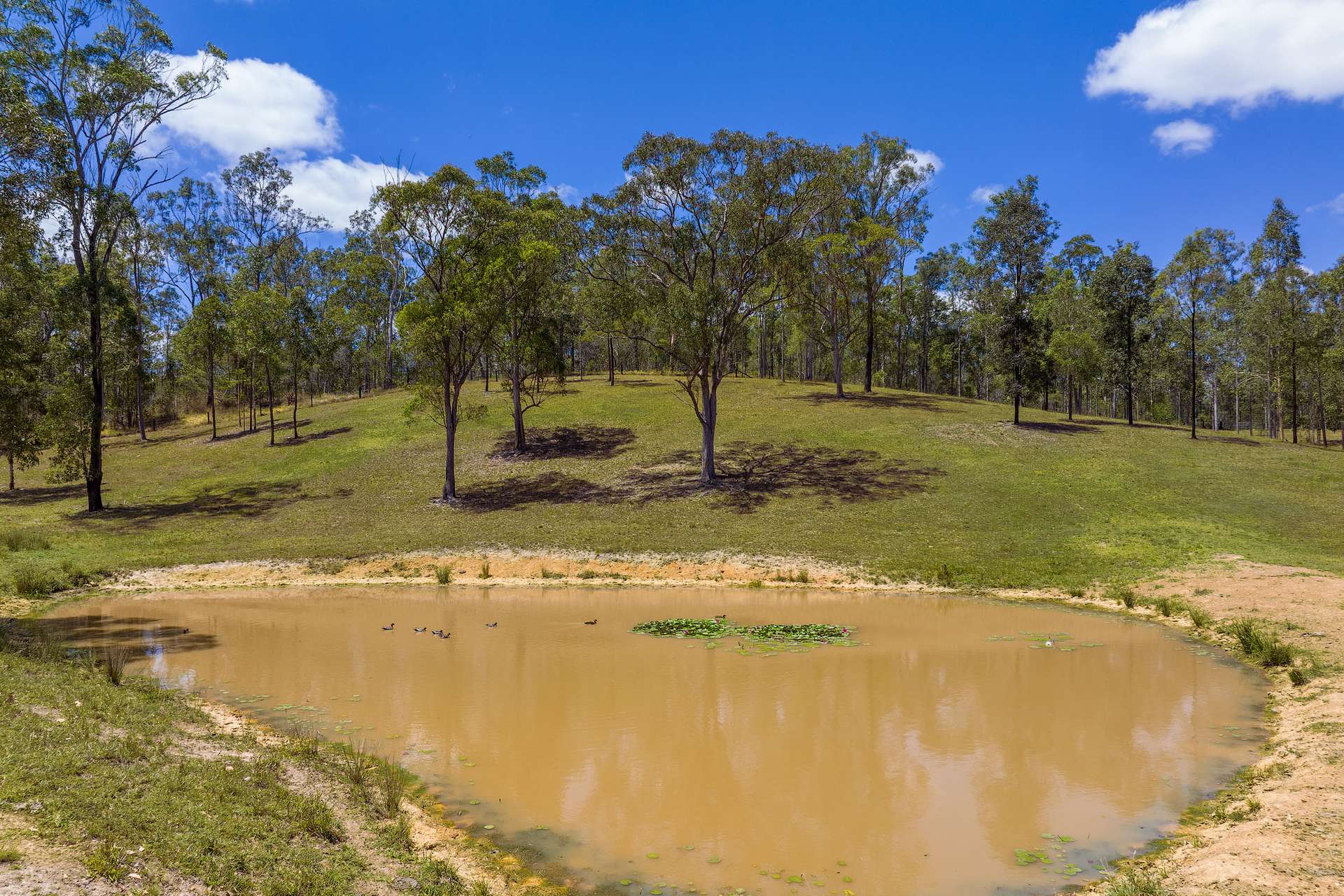 1127 Old Maryborough Road, Corella For Sale by Farmbuy.com - image 27