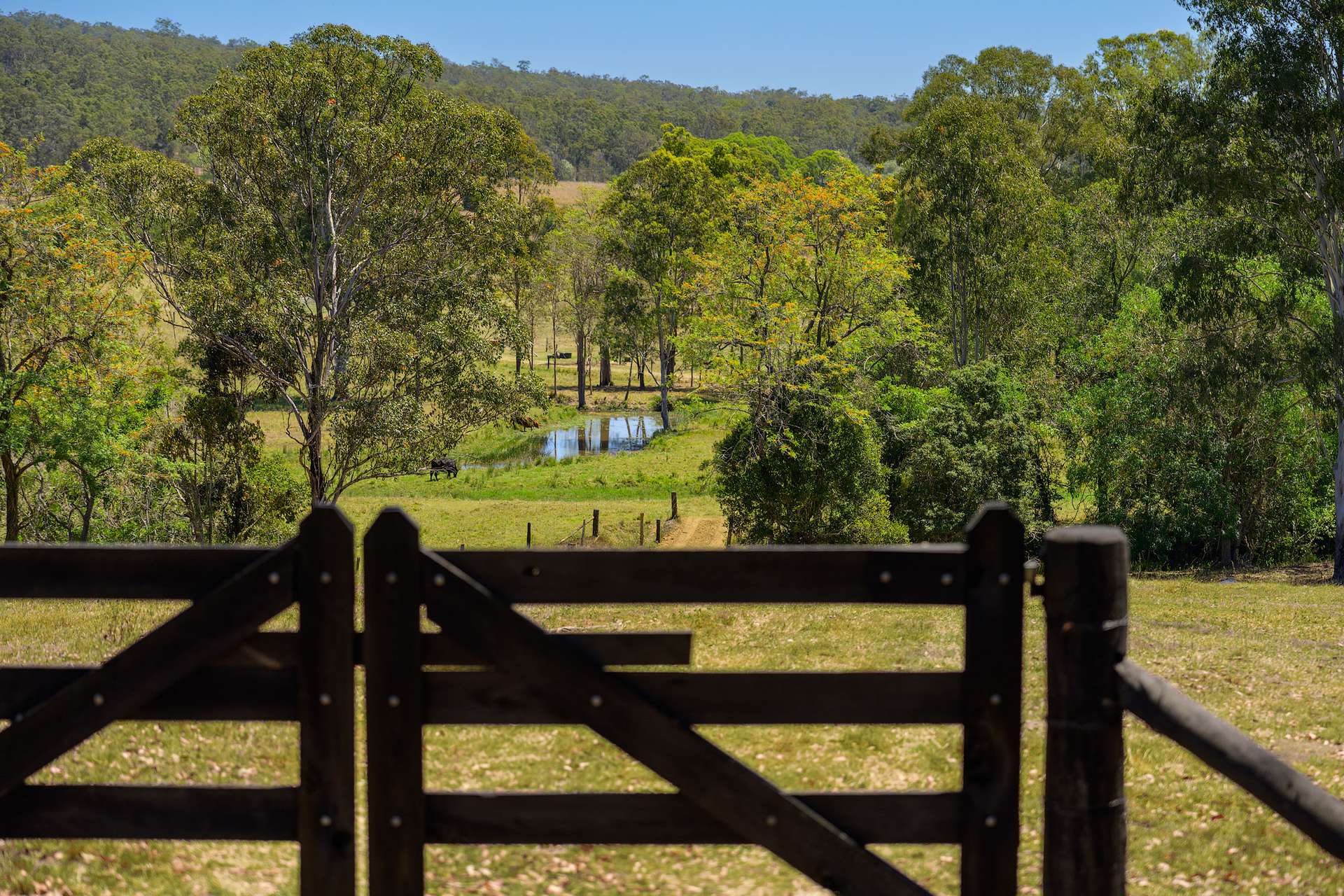 1127 Old Maryborough Road, Corella For Sale by Farmbuy.com - image 2