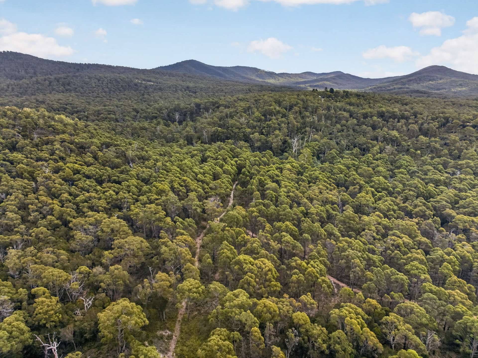PID: 6106965 Greens Beach Road, York Town For Sale by Farmbuy.com - image 8